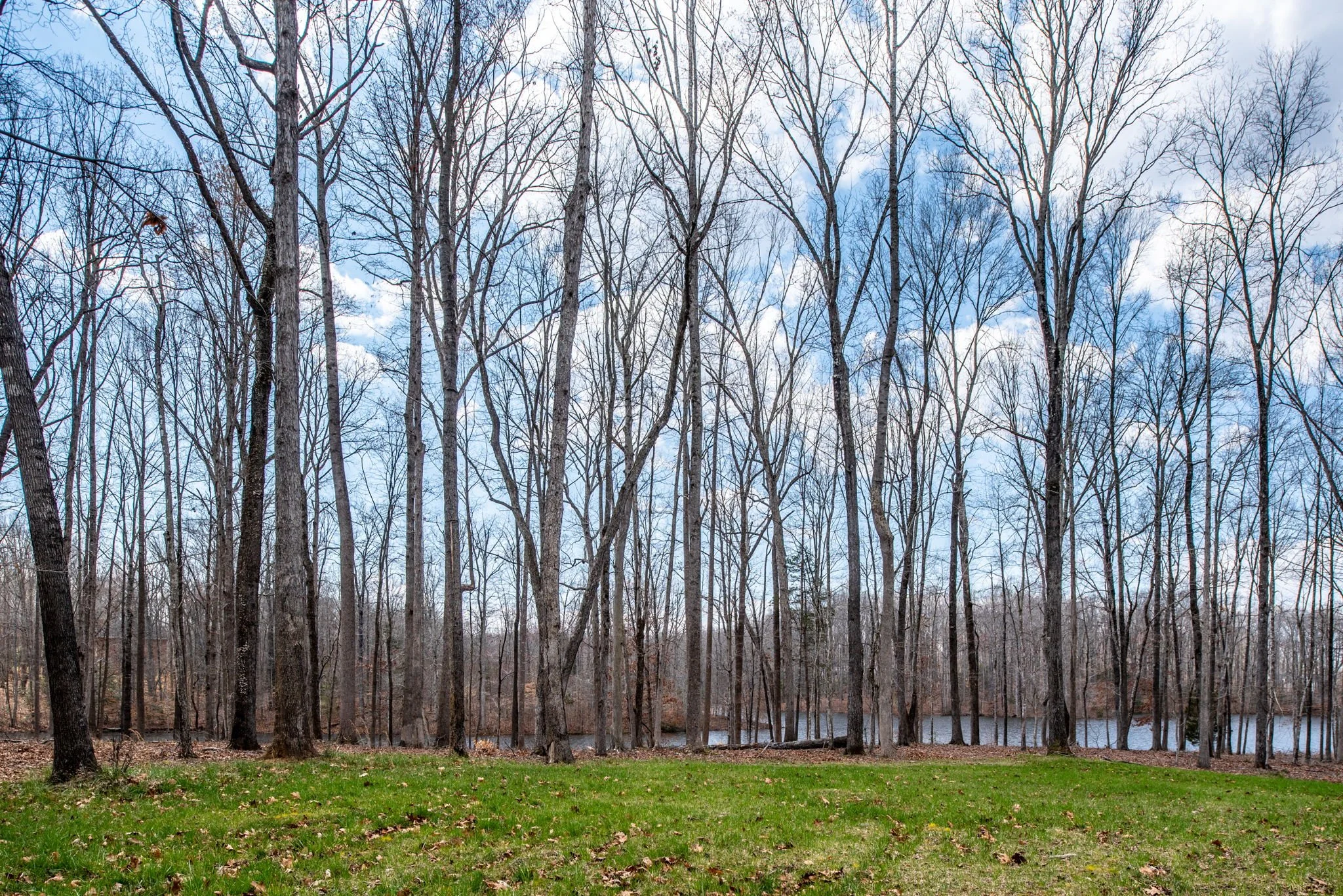 22-web-or-mls-Rosni Way Lots for Byrton Homes-6.jpg