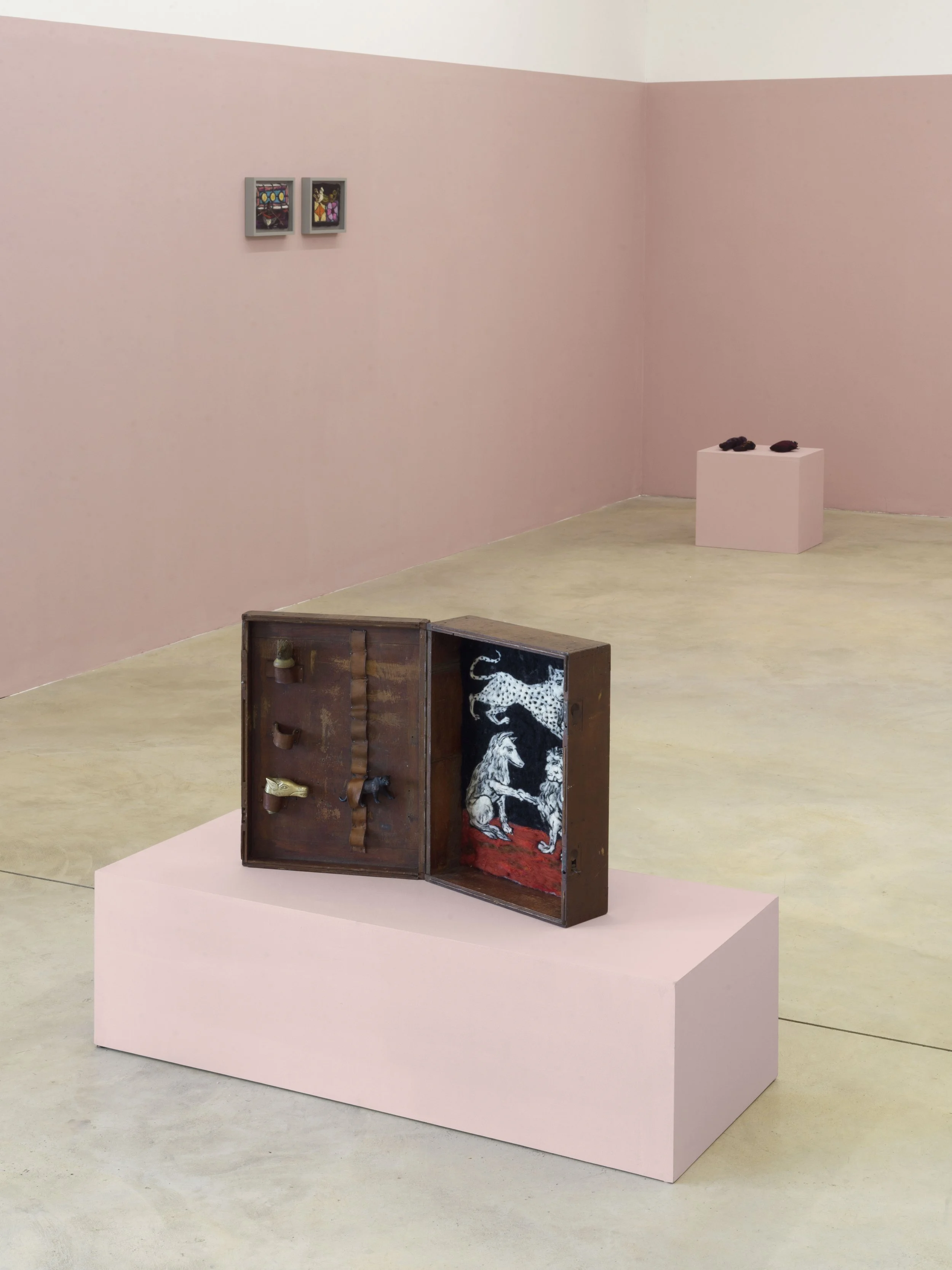 MLJ—2025—Soy Capitan—Roman März—05.jpg