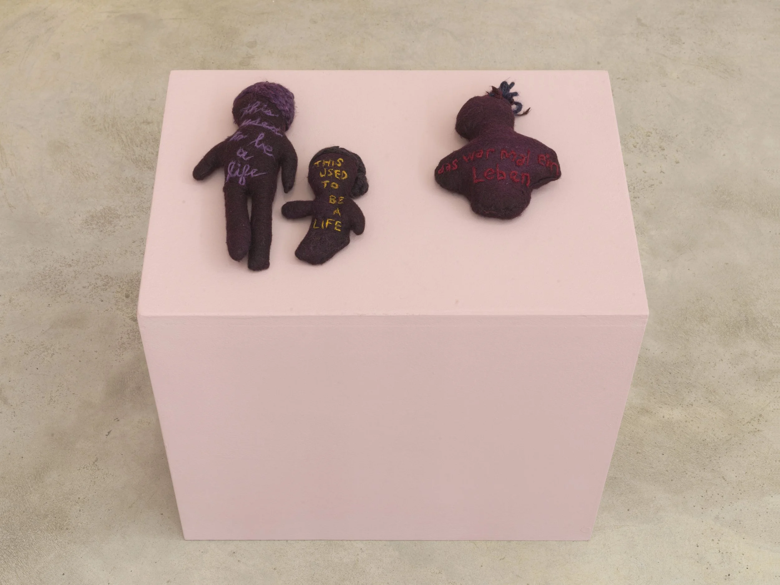 MLJ—2025—Soy Capitan—Roman März—14.jpg