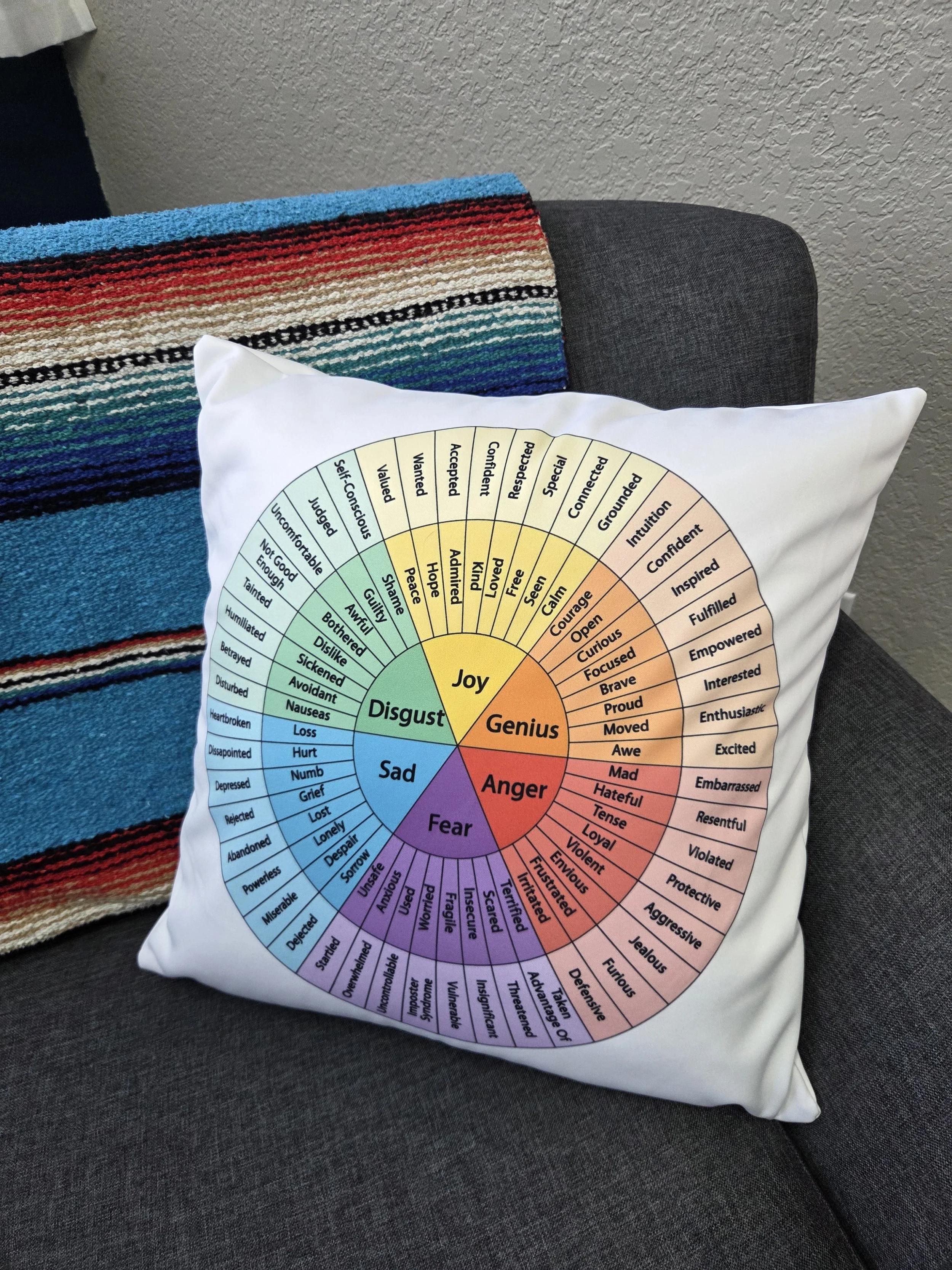 Feelings Wheel Pillow