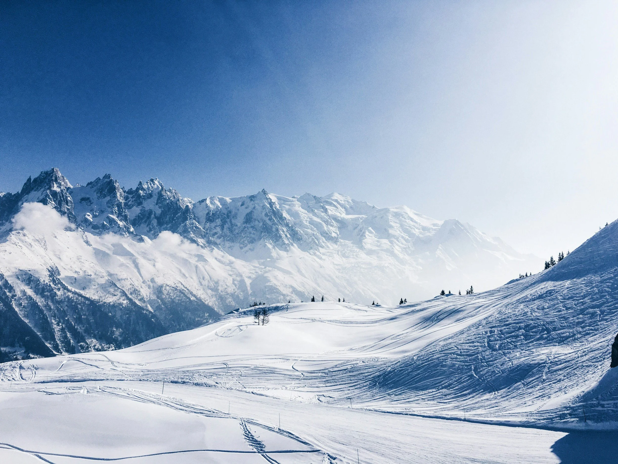 Snow-covered mountain range under a clear blue sky with ski tracks and small trees in the foreground.