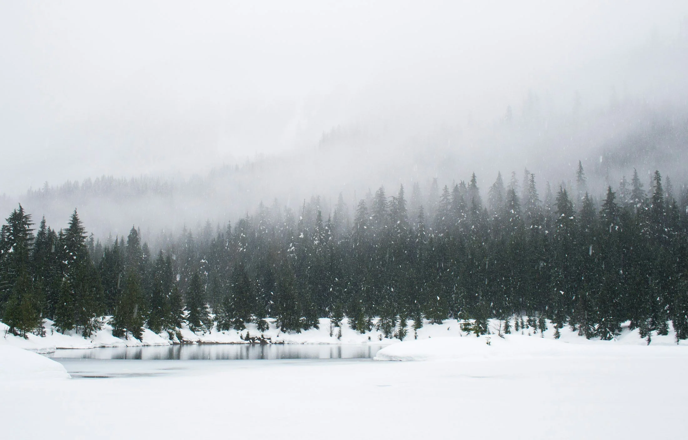 Snow-covered landscape with a partially frozen lake, dense evergreen trees, and a foggy sky.