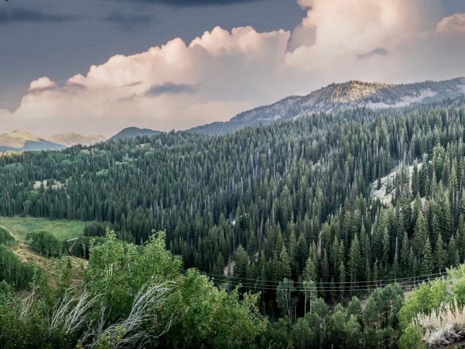 A scenic mountain landscape with a dense forest of pine trees, rolling hills, and a partly cloudy sky.