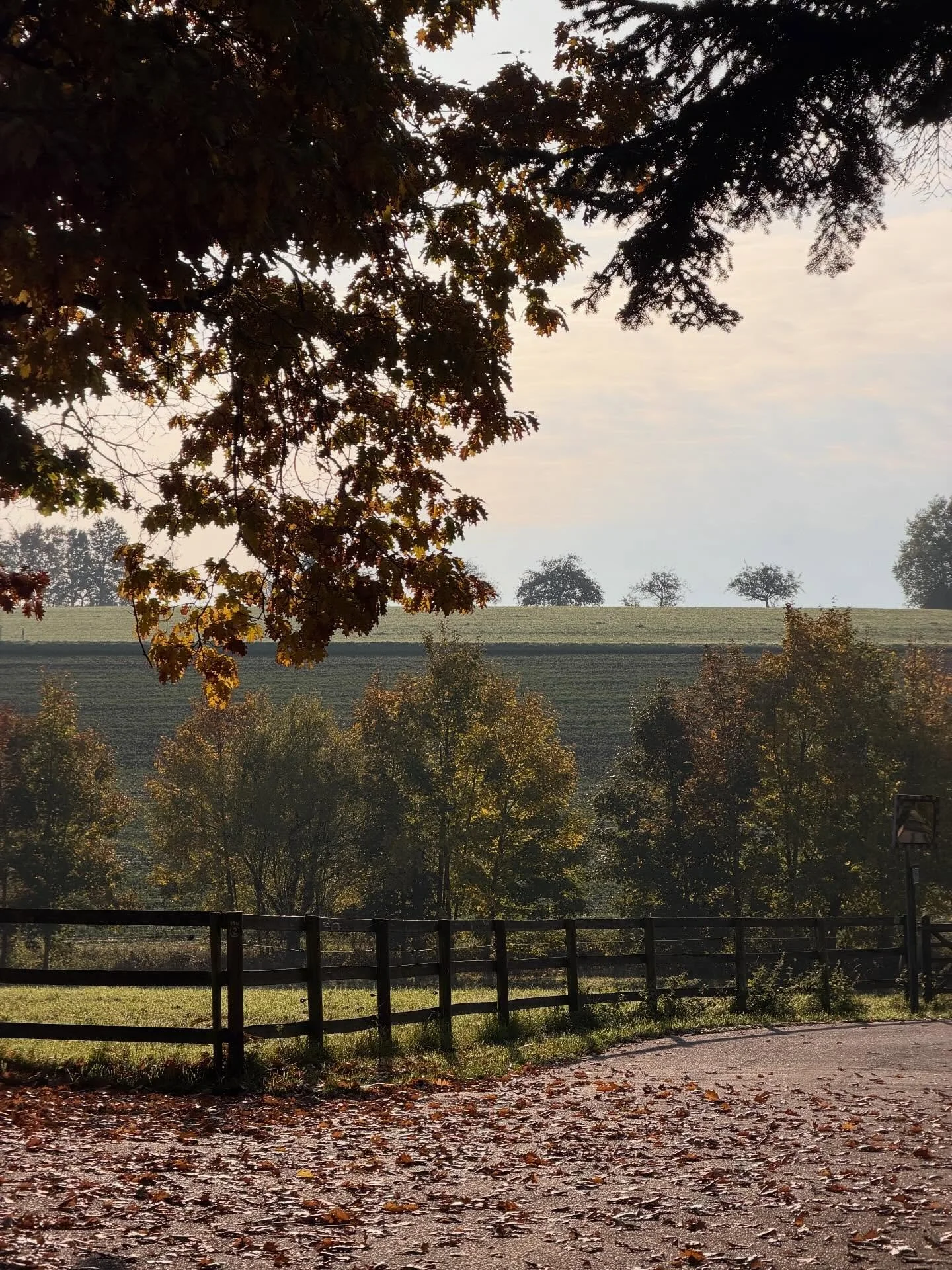 🍂 Herbst auf dem Hofgut Rineck 🍁
Wenn sich die W&auml;lder in Gold und Rot kleiden, wird es stiller auf dem Hof.
Die Luft ist klar, die Tage k&uuml;rzer &ndash; und alles l&auml;dt dazu ein, loszulassen, zu atmen und einfach da zu sein.

Ein Ort, a
