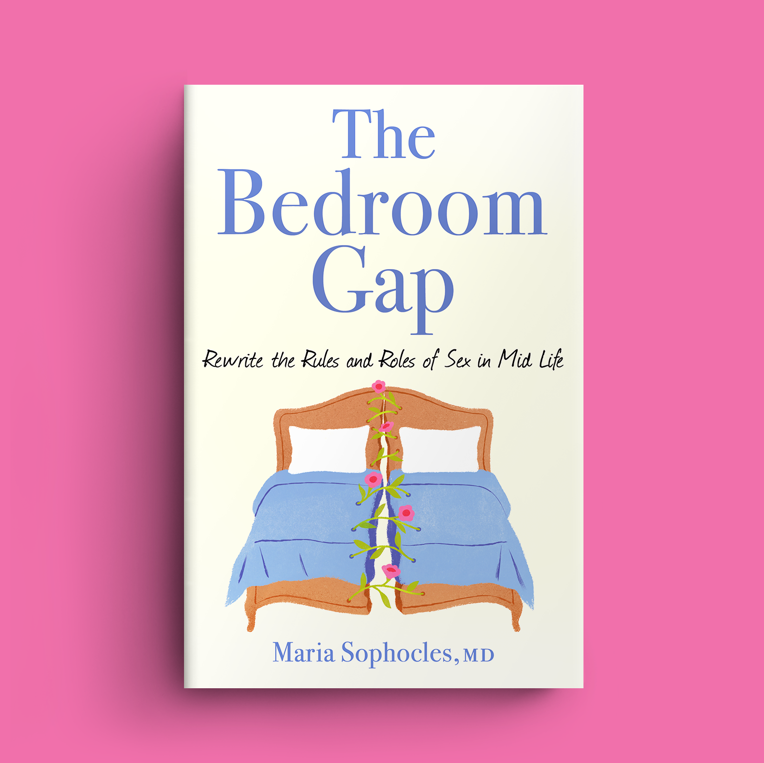 TheBedroomGap_cover.png
