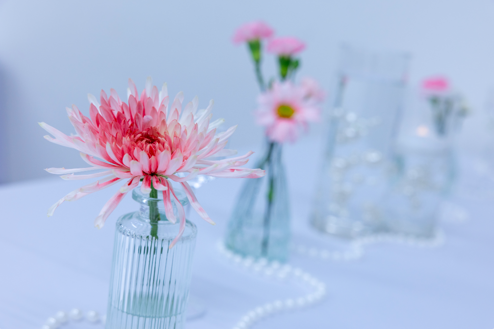 Screen Shot 2026-01-05 at 5.00.35 PM.png