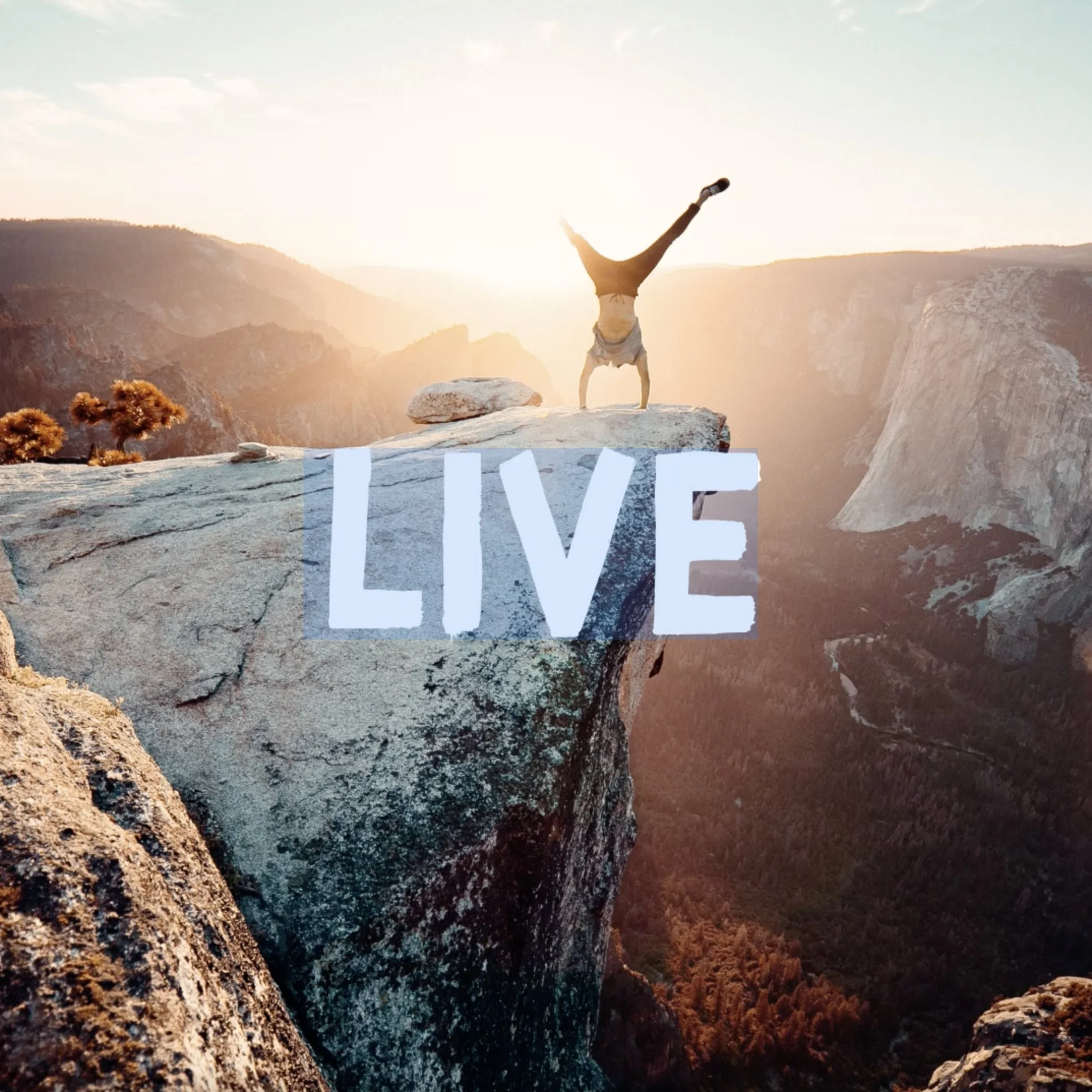 Live.jpg