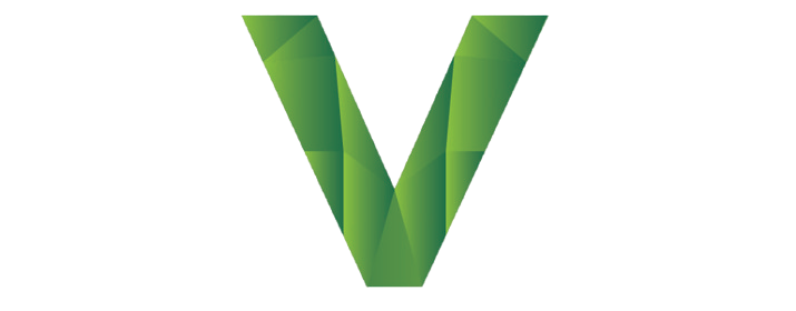 Virtual Accounting Advisors Website