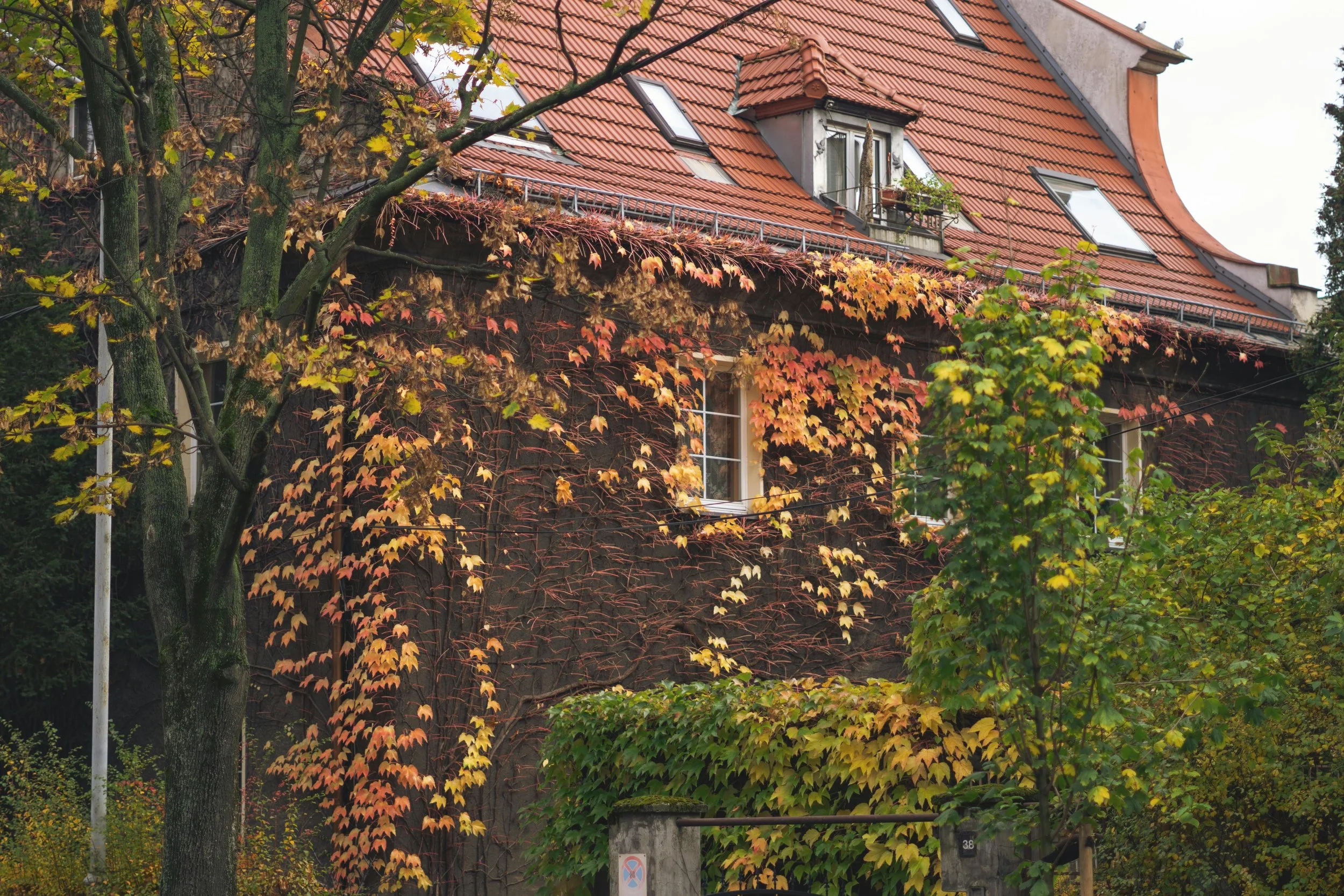 The Rhythm of Home in September