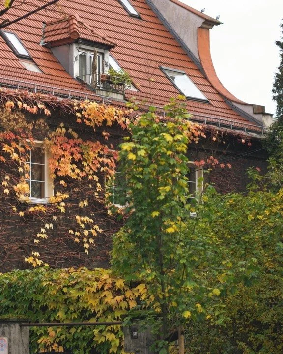 ✨ Finding Our Rhythm at Home in September ✨

September always feels like a reset. The air is crisper, the leaves begin to gather, and the freedom of summer gives way to routine again.

In our Surrey home, it means my three-year-old heads to nursery a