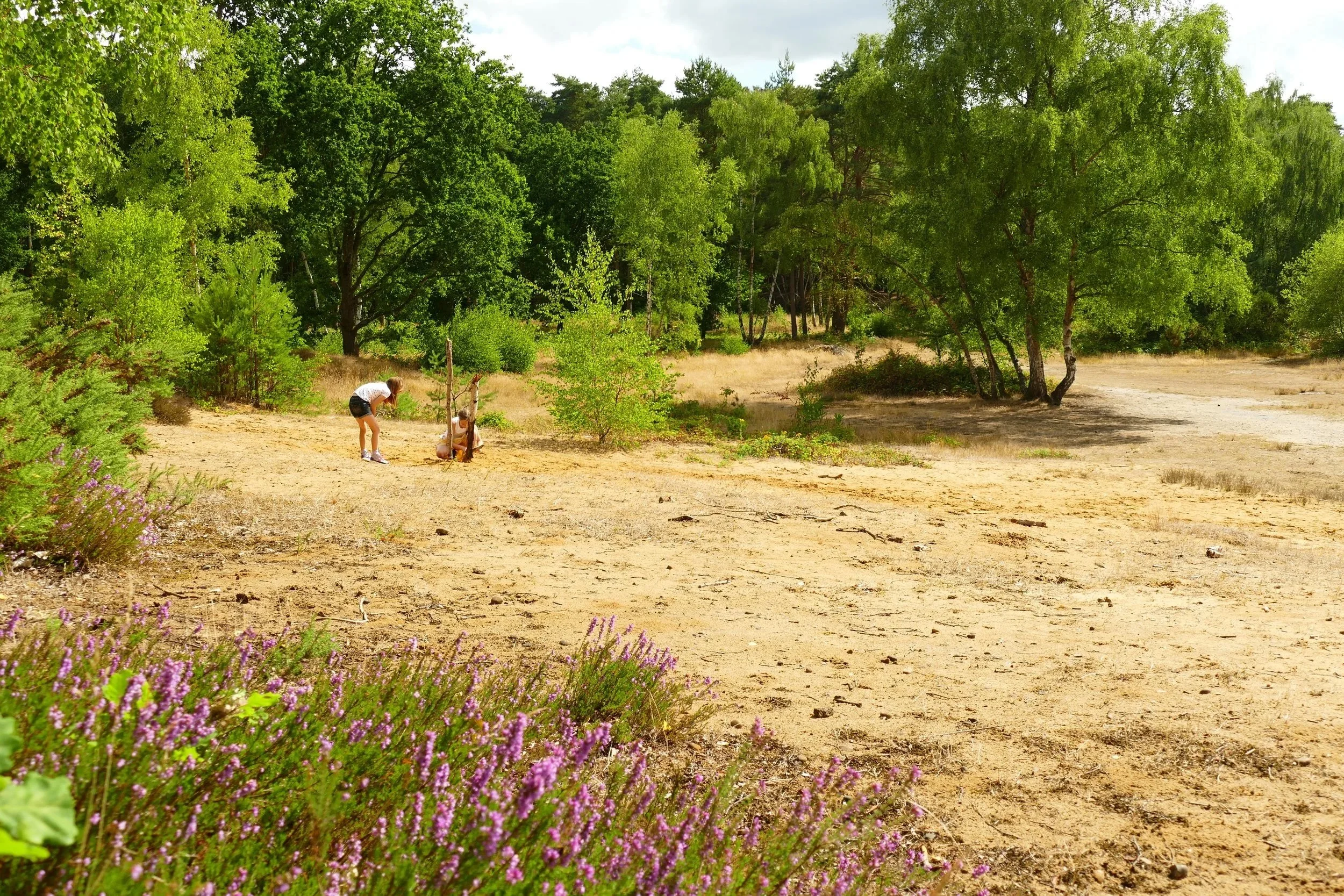 Designing Homes in HORSELL, Surrey