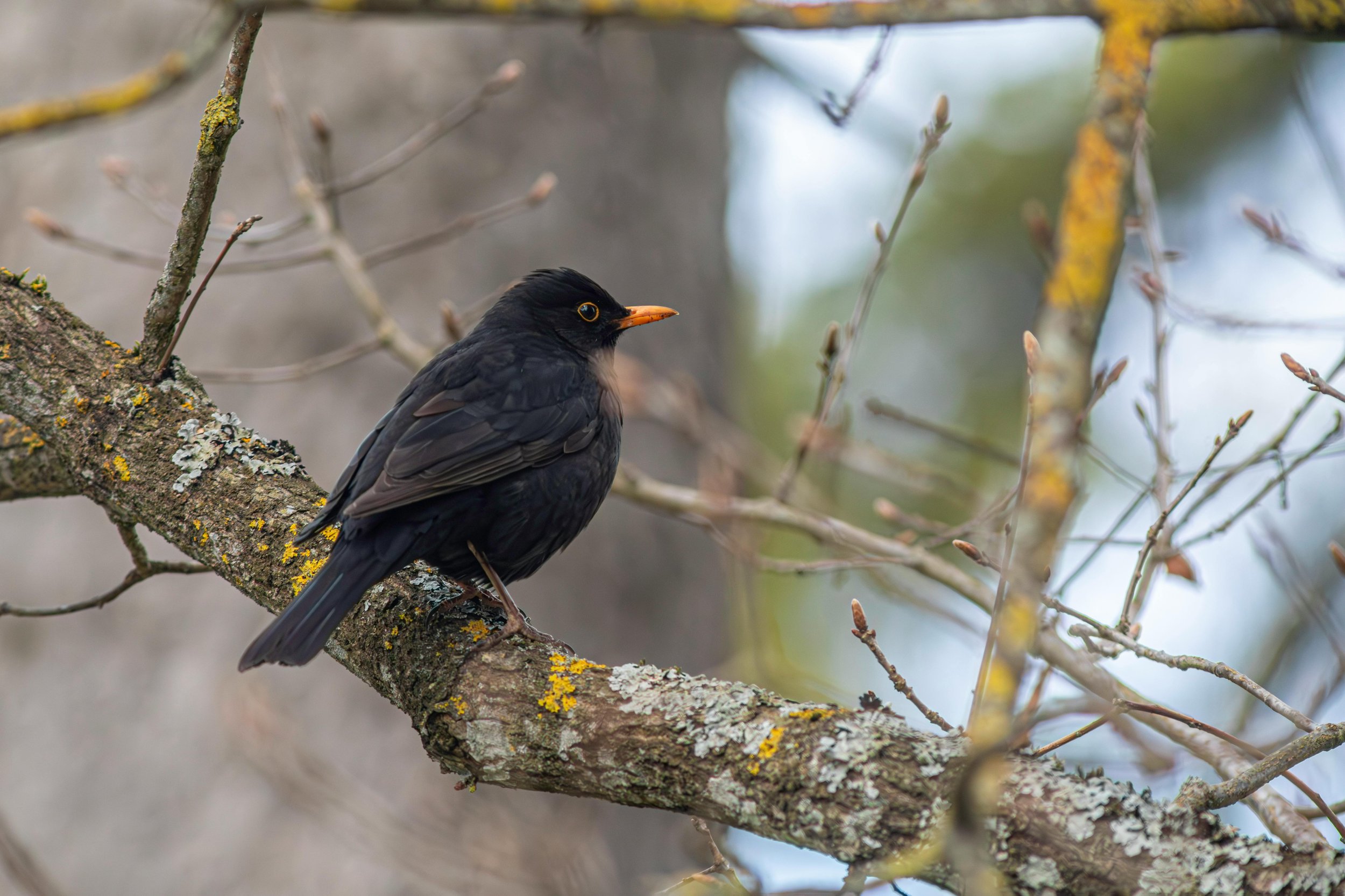 Designing Homes in HORSELL, Surrey