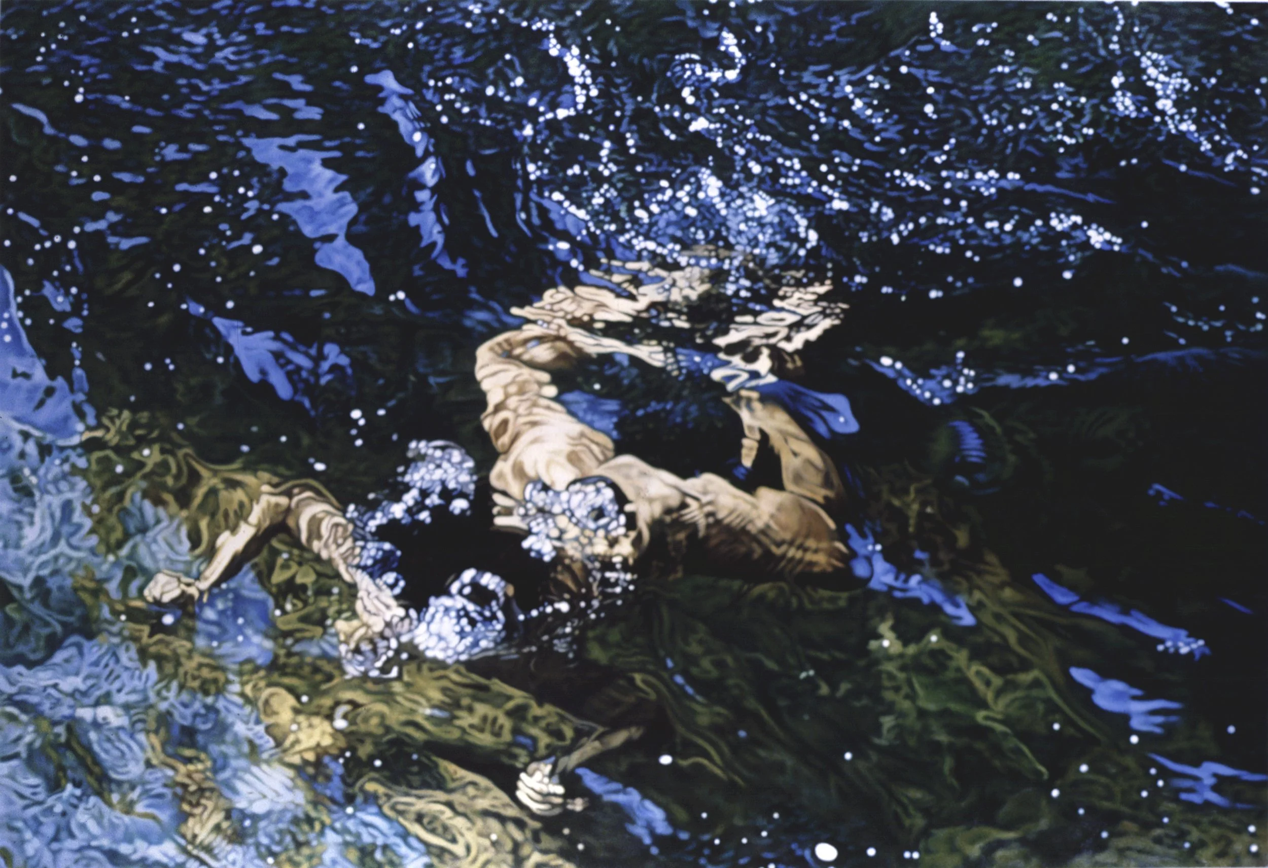 Migratory Habits.jpg