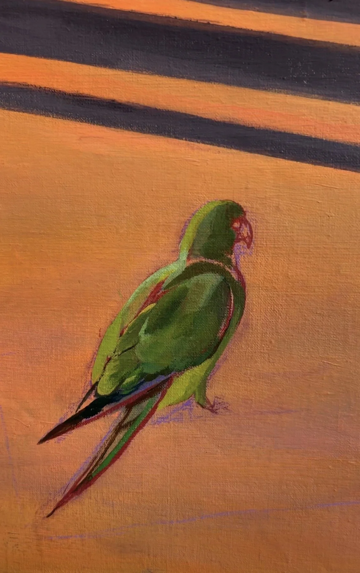 Studio/process shot: