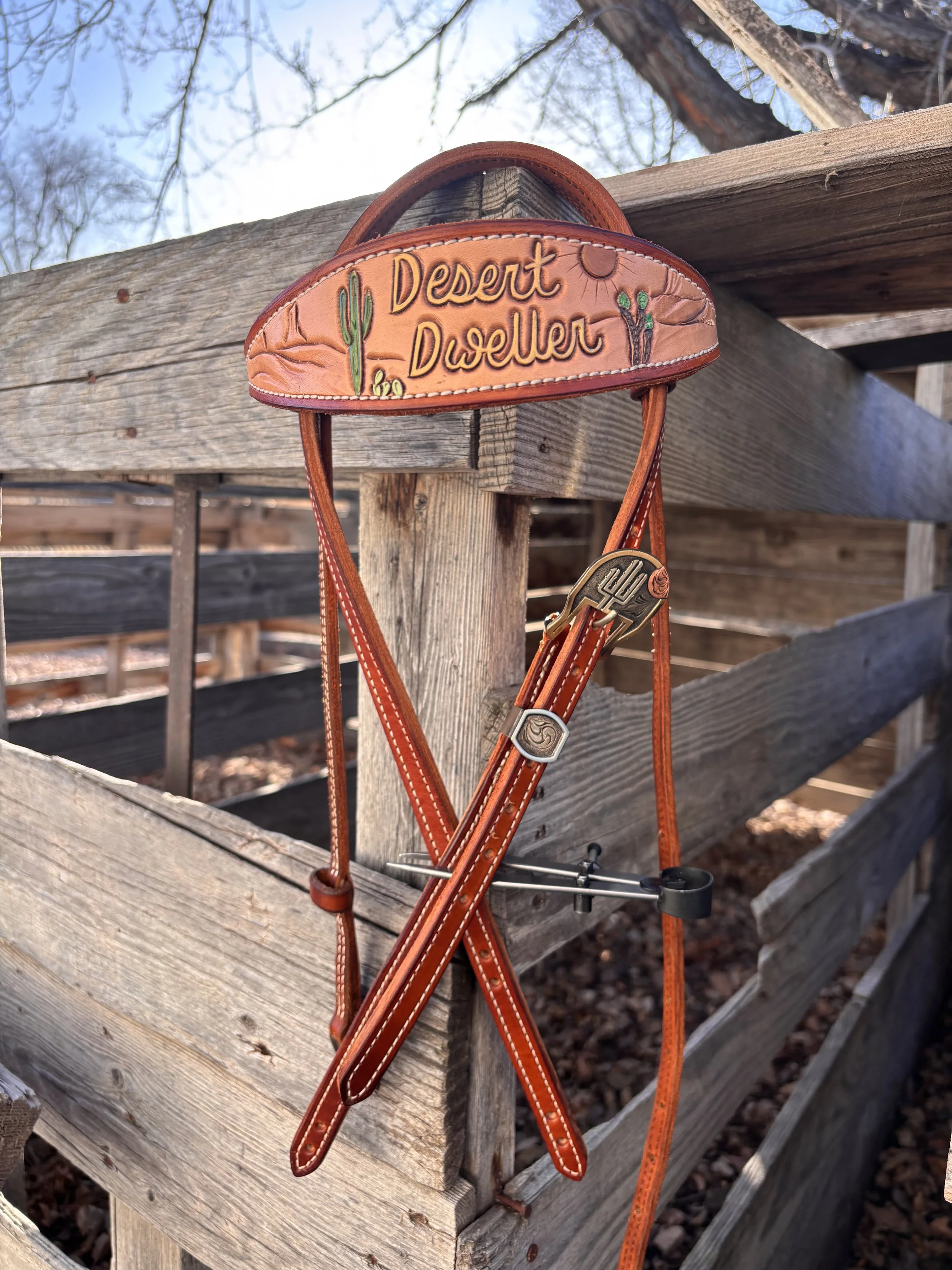 Desert Dweller Brow Band Headstall