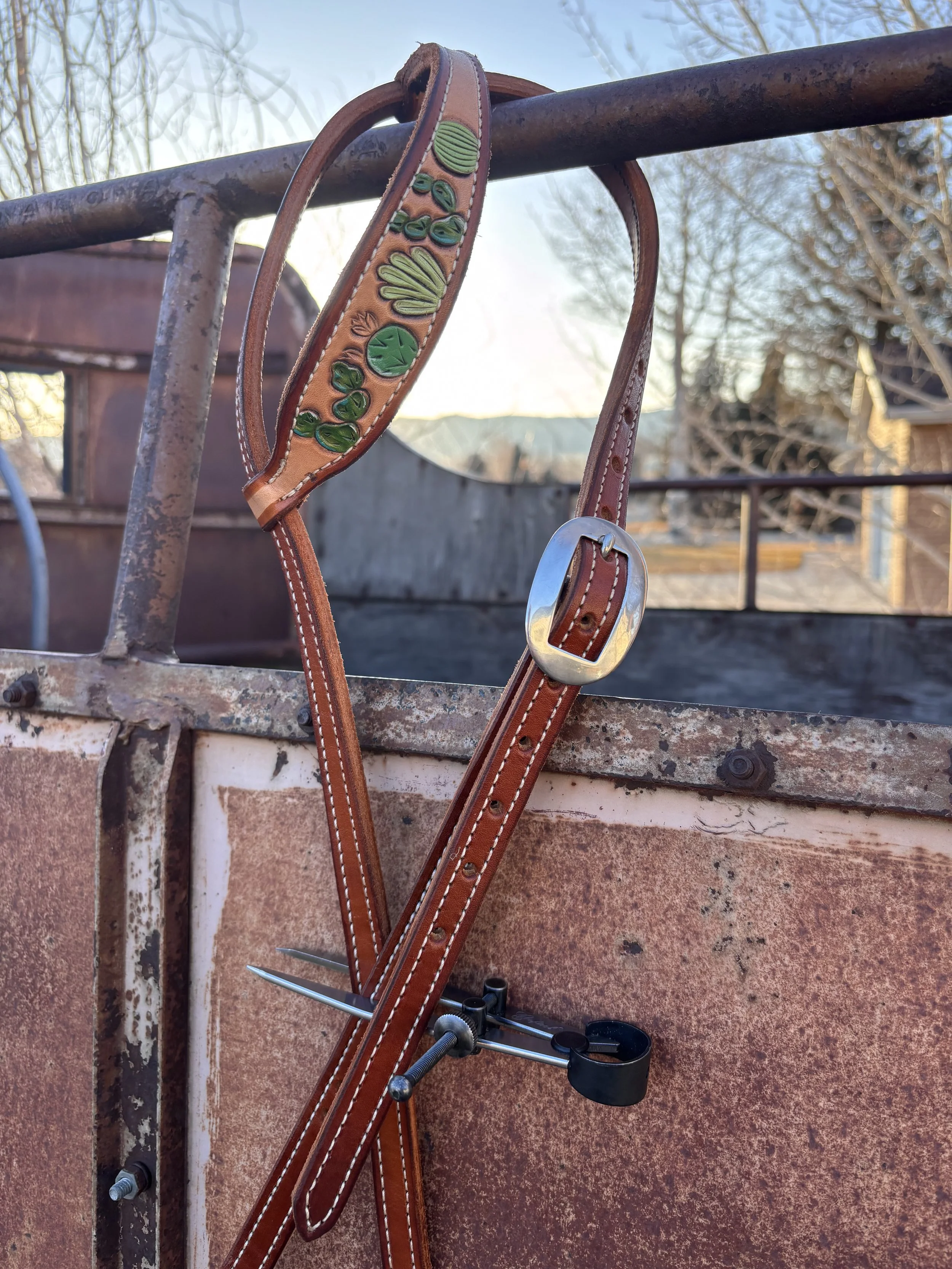 Cactus Single Ear Headstall