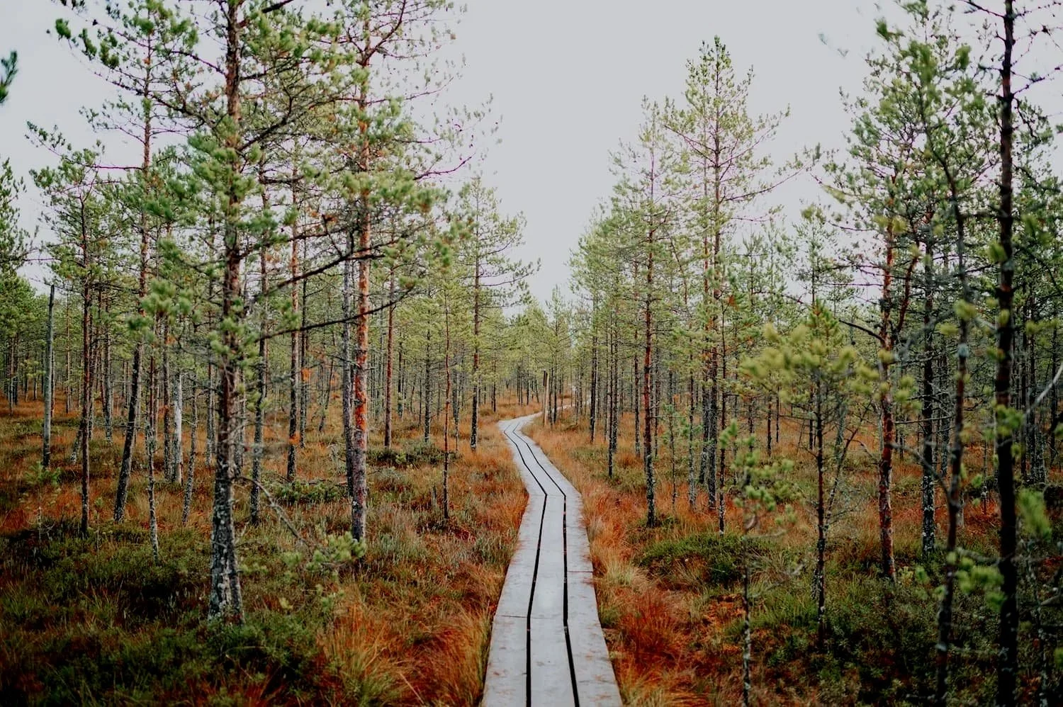 Eye Movement Desensitization and Reprocessing (EMDR) Training