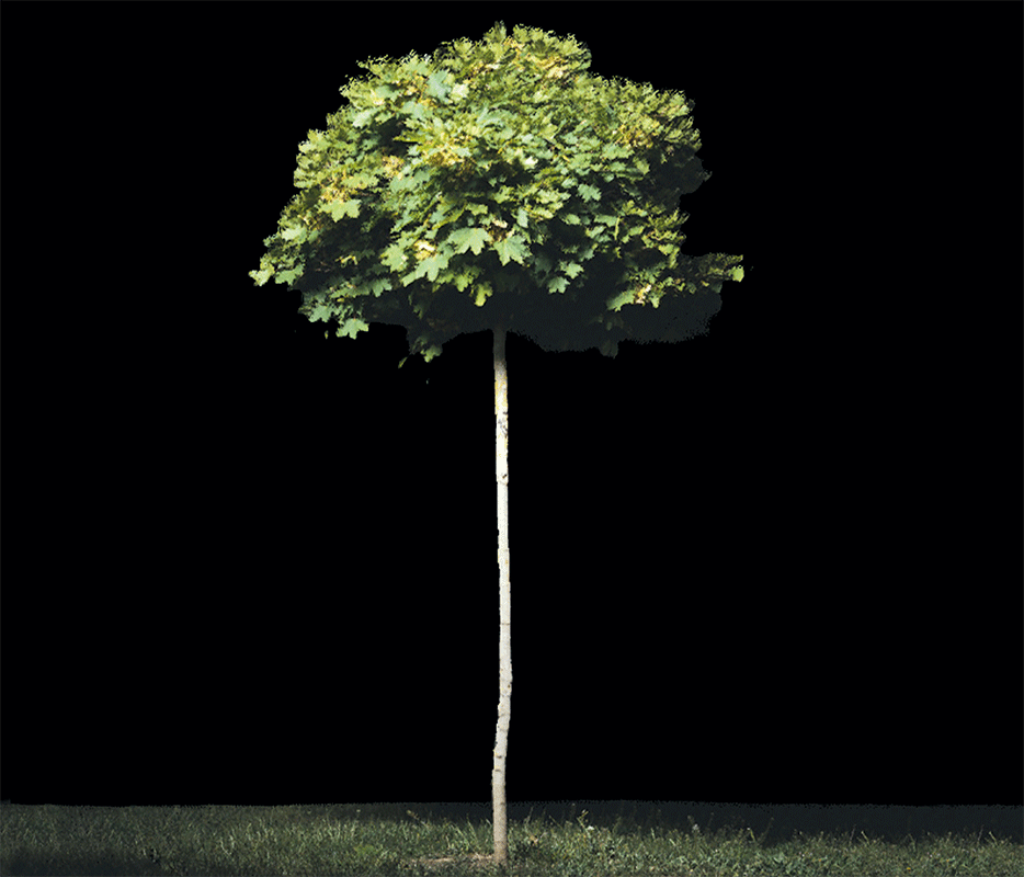 0d18d26c-b13b-4800-a054-067d2c6e02ba (1).gif