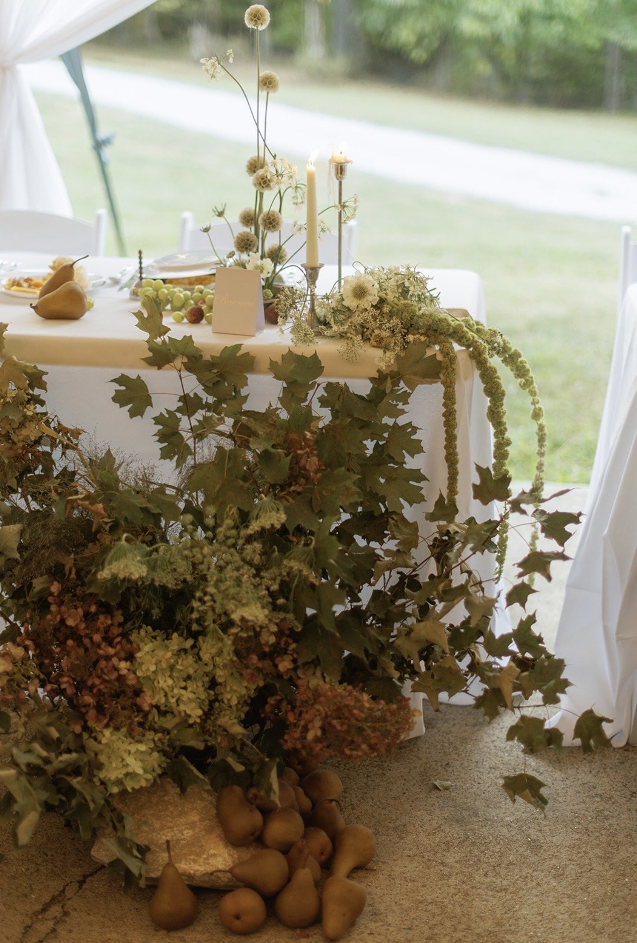 Jackson and Nina Photography