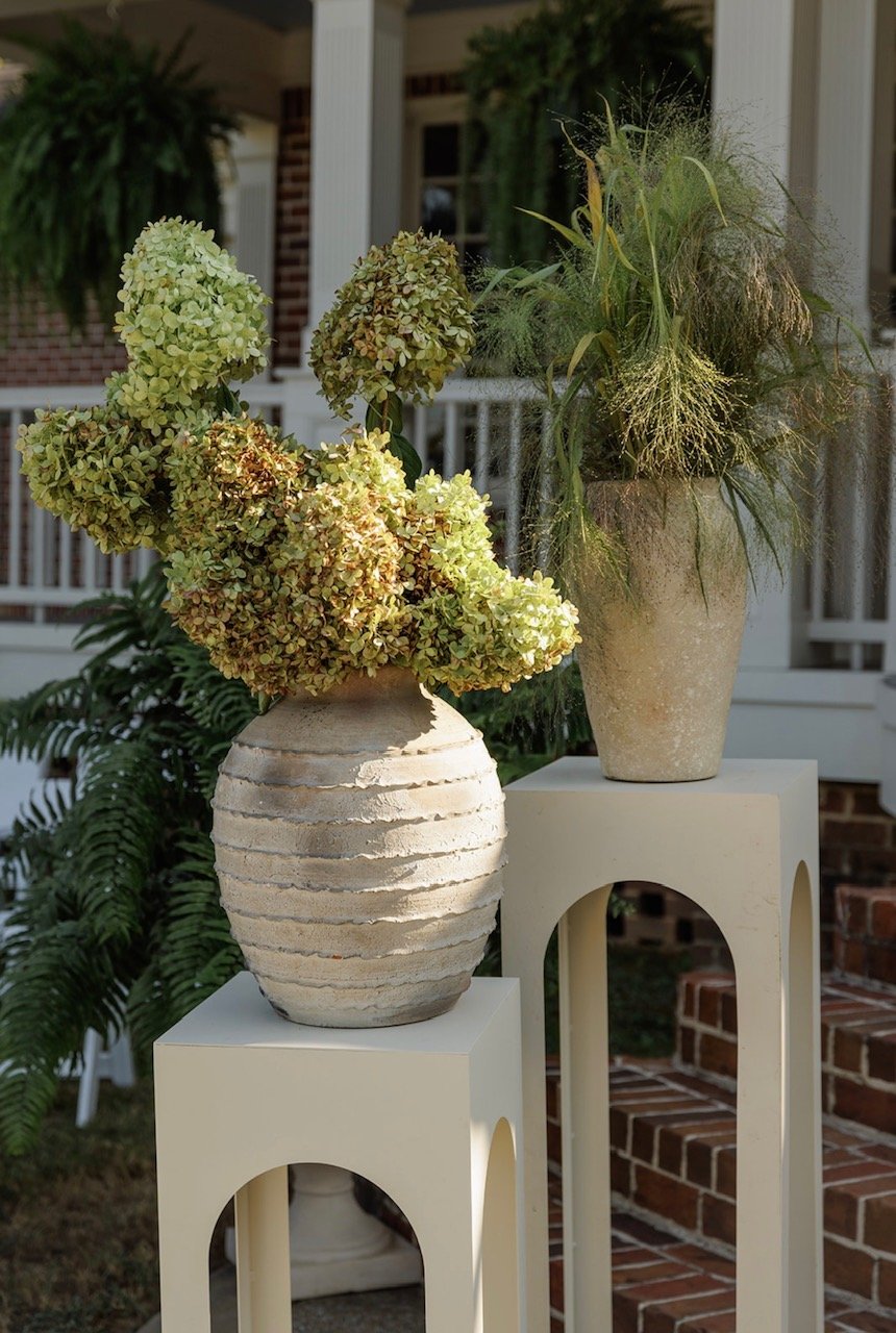 Jackson and Nina Photography