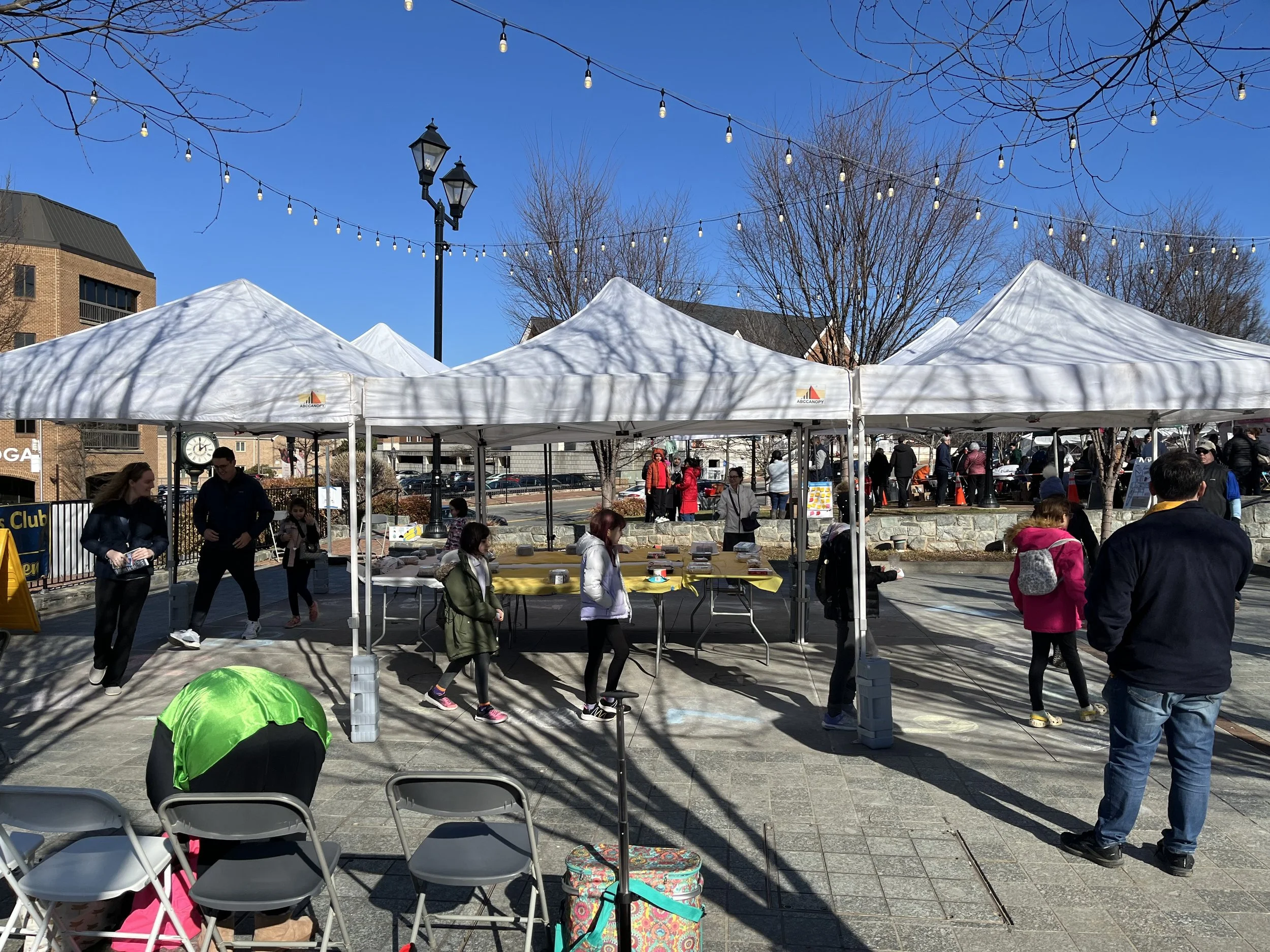 Photo Feb 01 2025, 2 03 11 PM.jpg