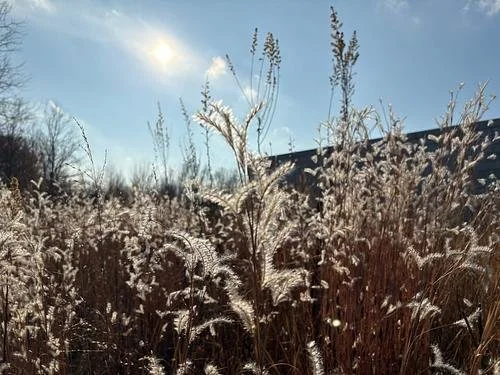 Sun & Moon Yoga: Seasonal Retreat: Living the Wisdom of Winter with Christine Clardy and Marjorie Ames