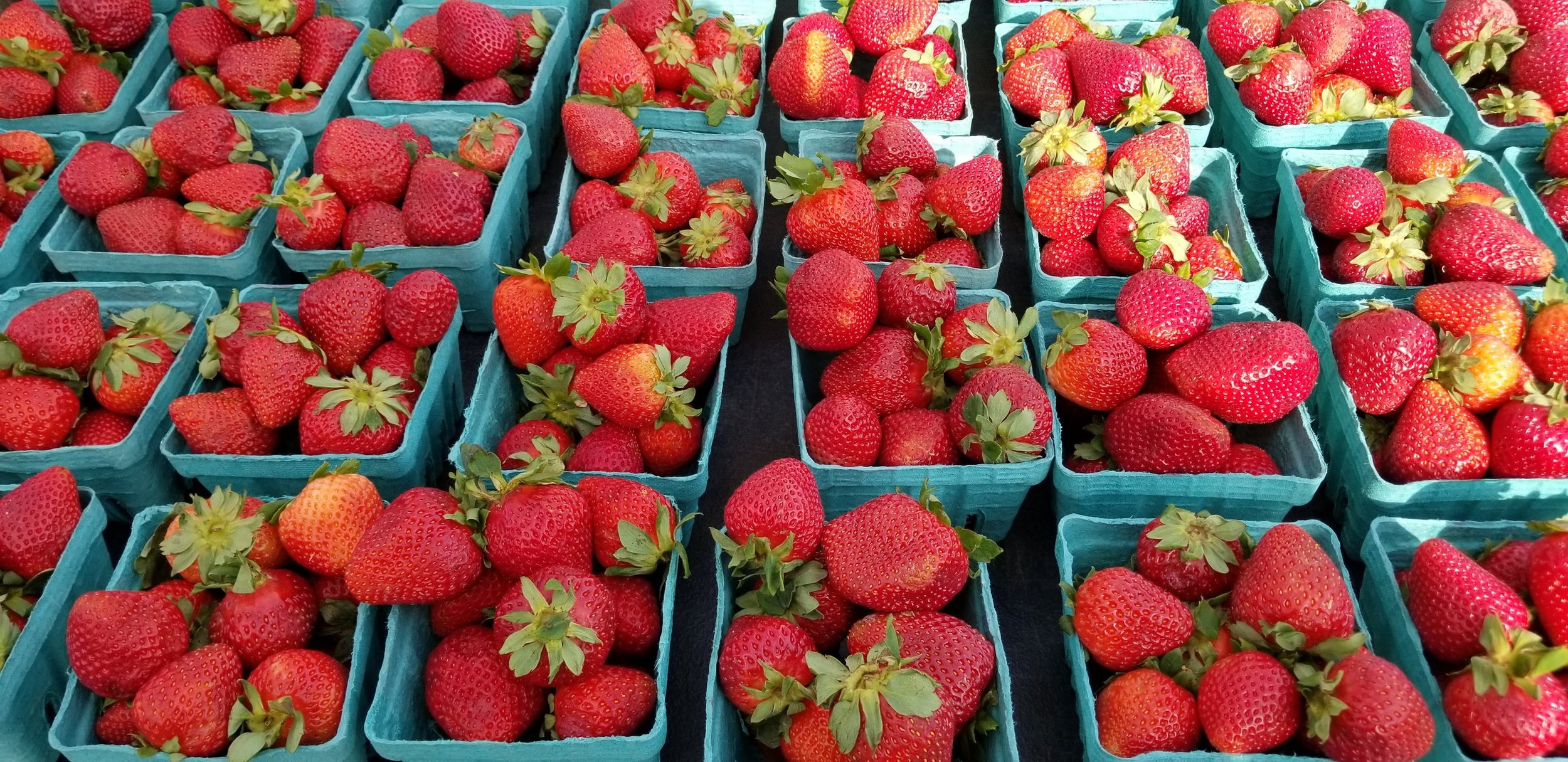Fairfax Saturday Farmers' Market