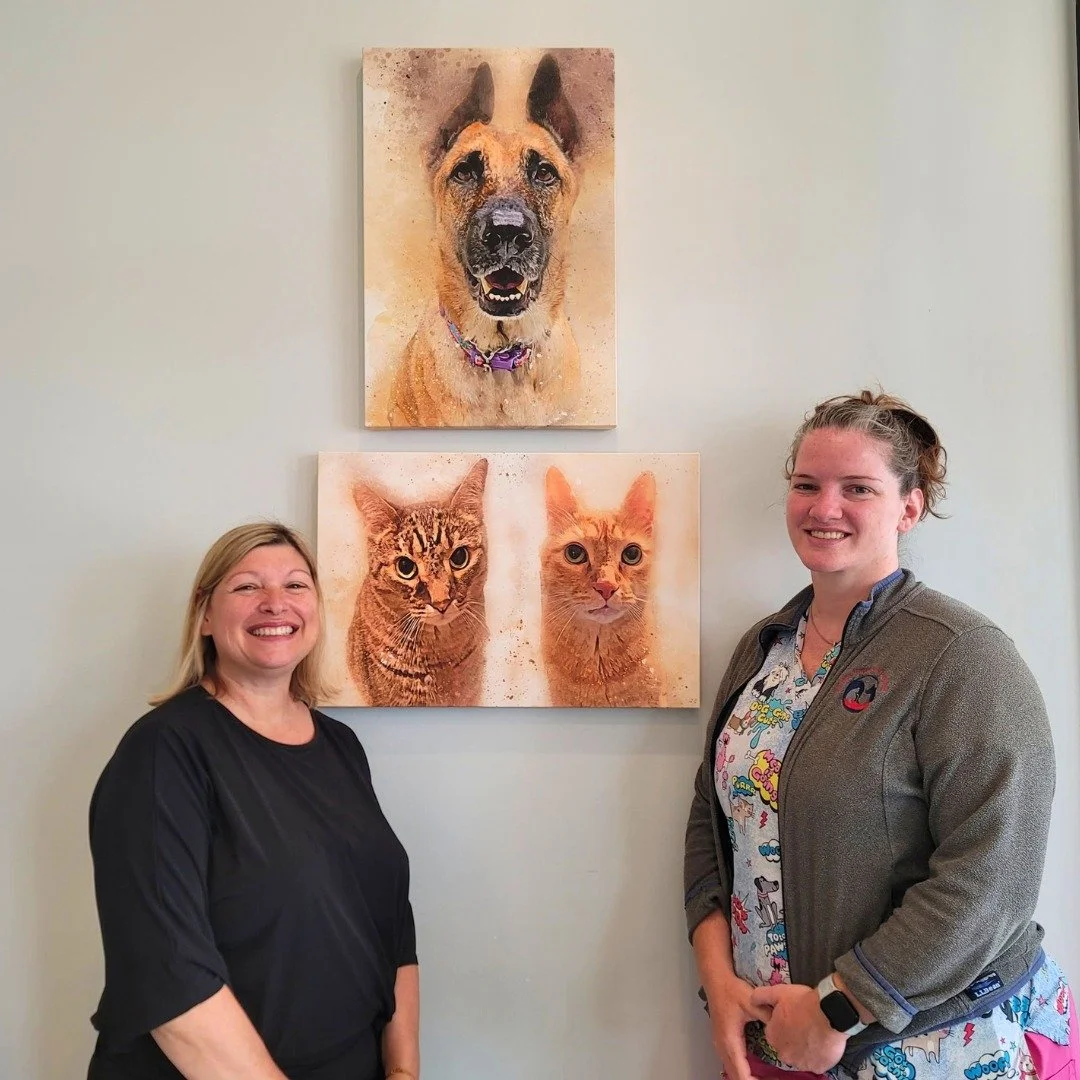 🎉 Member Spotlight: Fairfax Veterinary Hospital 🎉

We&rsquo;re excited to spotlight Fairfax Veterinary Hospital in Fairfax City!

Located in Courthouse Plaza, Fairfax Veterinary Hospital is dedicated to providing compassionate, comprehensive care i