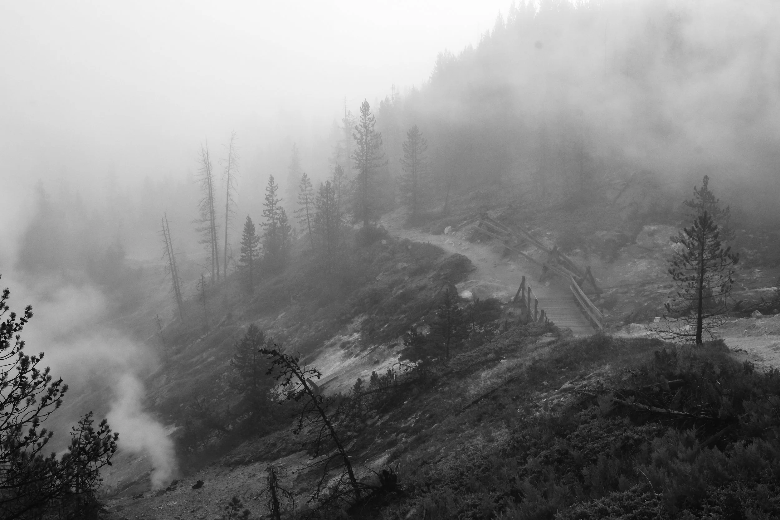 Yosemite: Fog, small geyser, winding trail