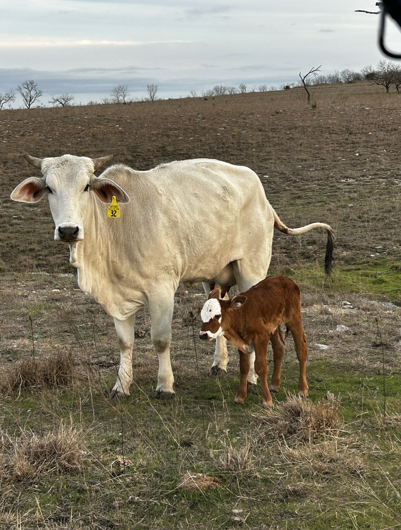 Screen Shot 2025-11-11 at 8.04.38 PM.png