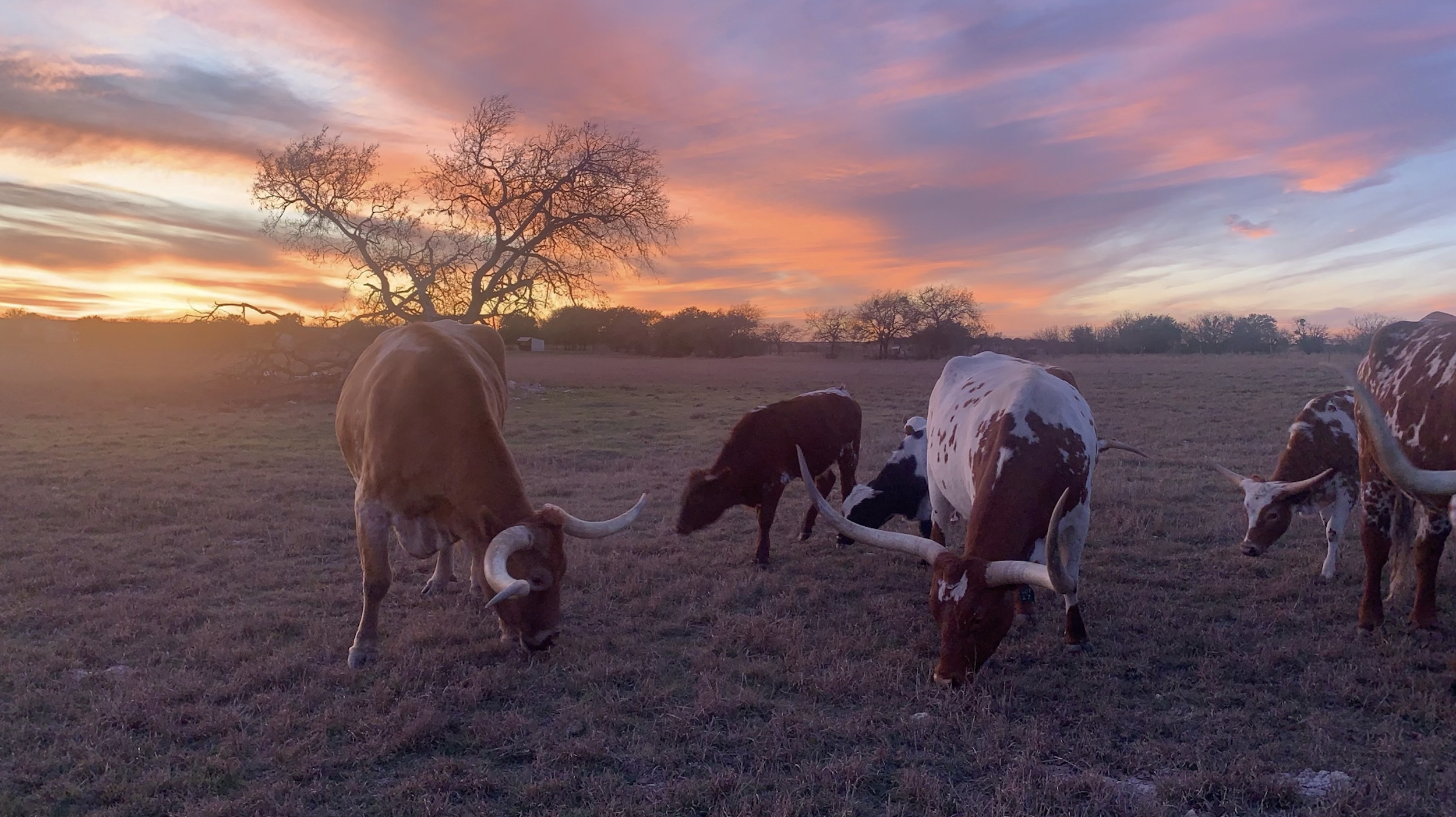 Screen Shot 2025-11-11 at 8.04.52 PM.png