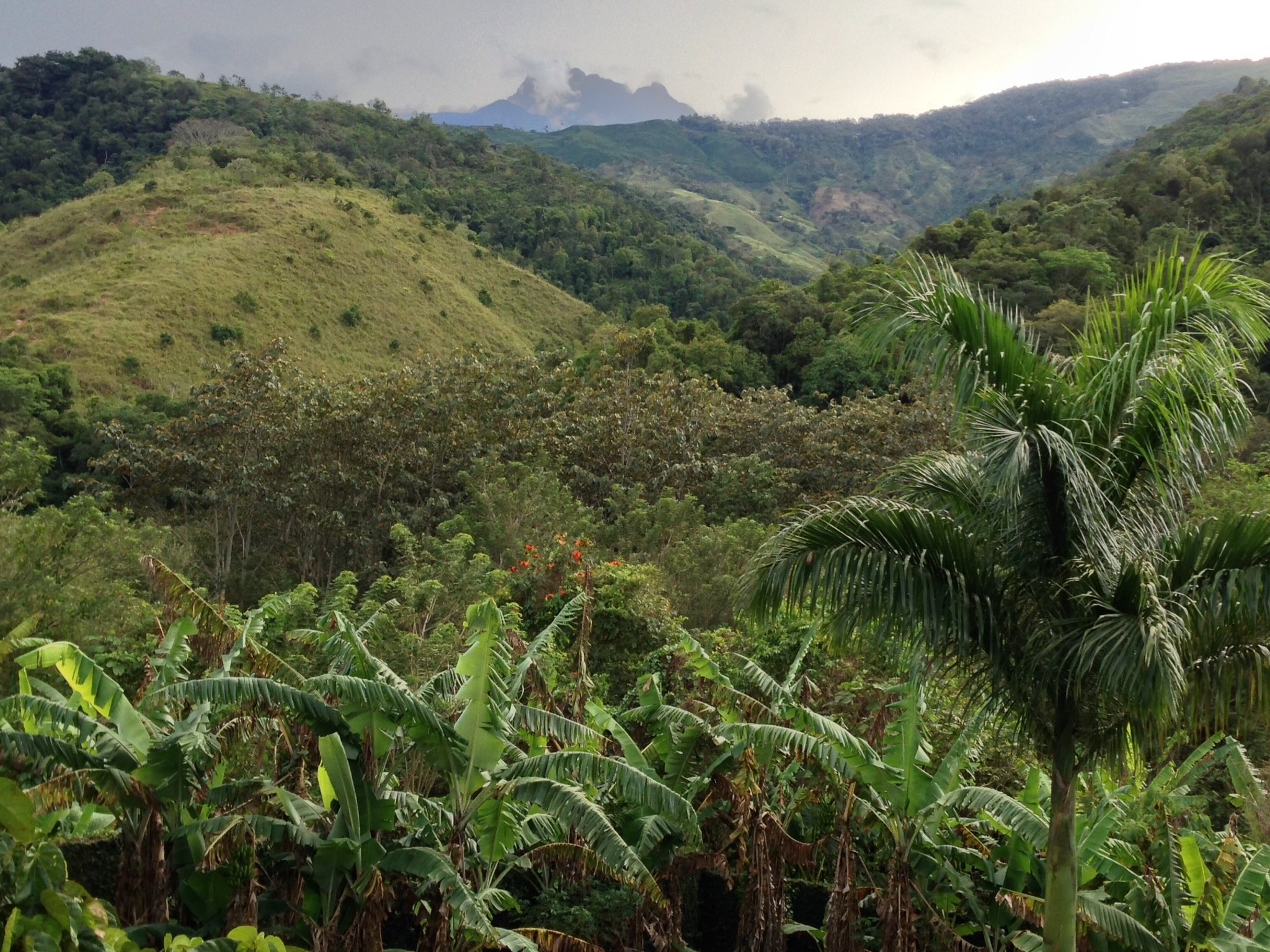 Colombia Coffee Beans