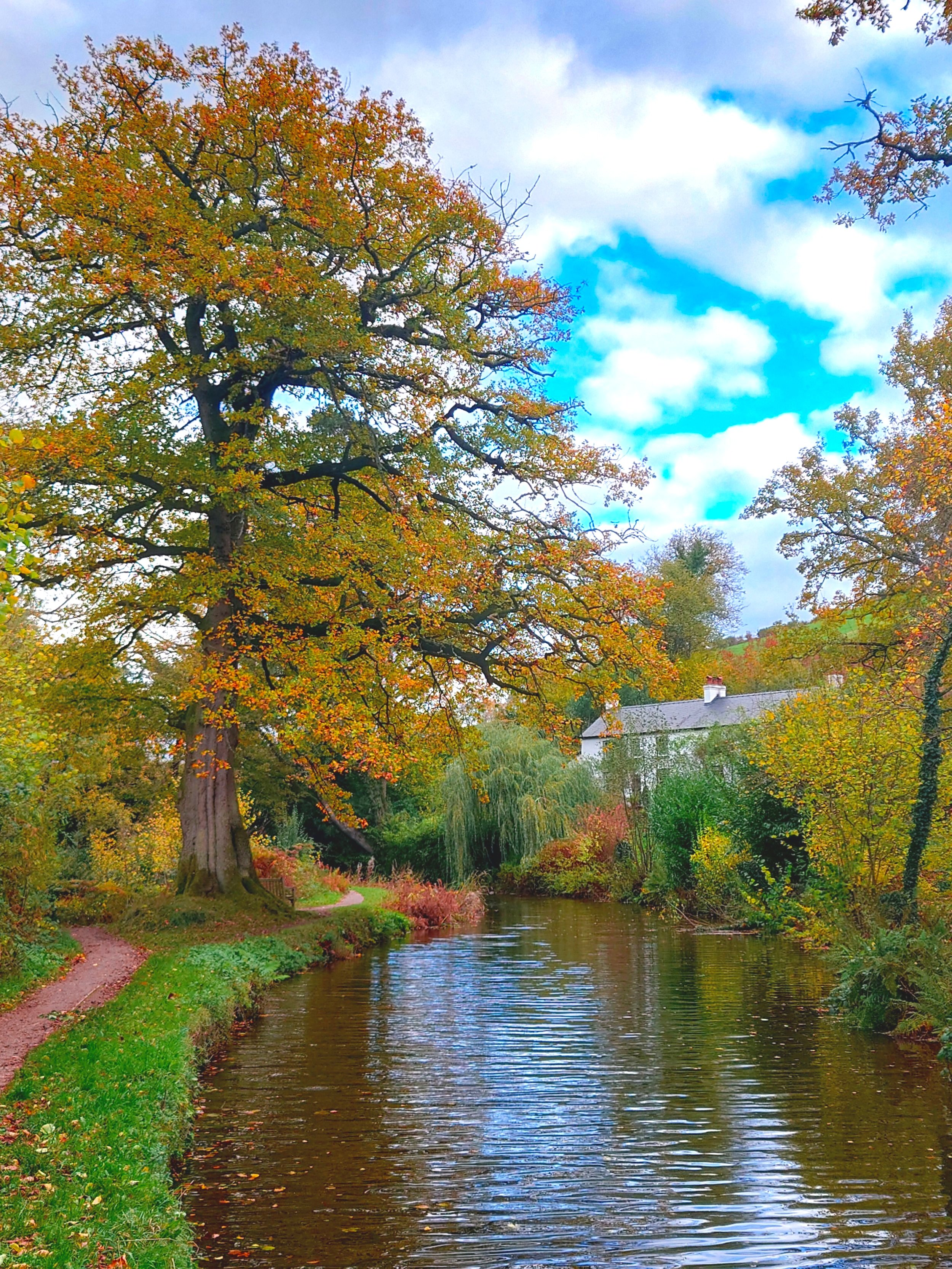 An Autumn Adventure on the Monmouthshire & Brecon Canal