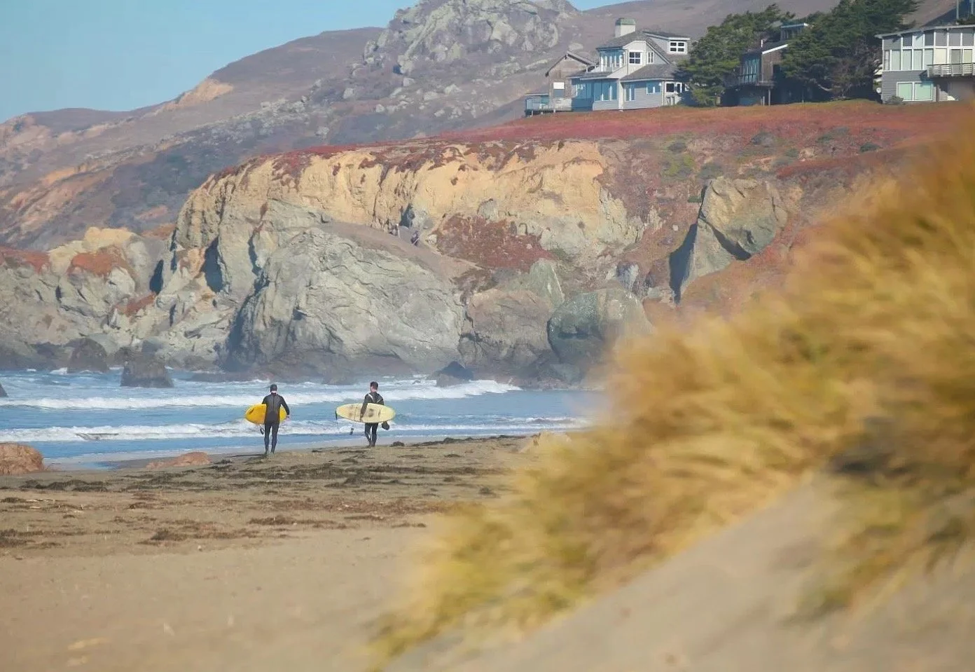 Screen Shot 2024-07-15 at 10.58.35 AM.jpeg