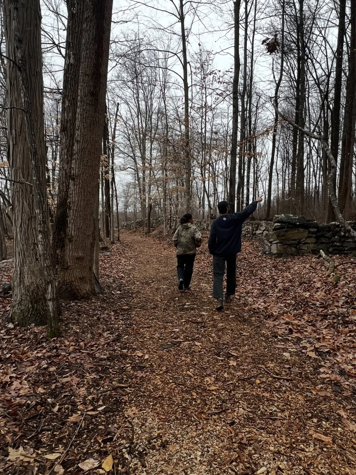 Perks about our work: connecting with the coolest business concepts that are doing the most to steward our land.

The epitome of operating a business with the land.

#elumetheway #fieldtrips #agroforestry #bloom