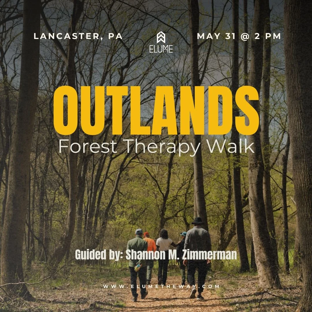 Outlands: Forest Therapy Walk 