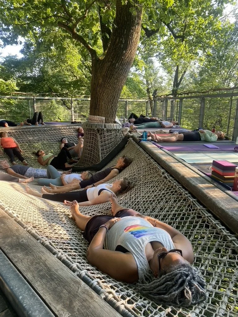 savasana treetop.jpeg