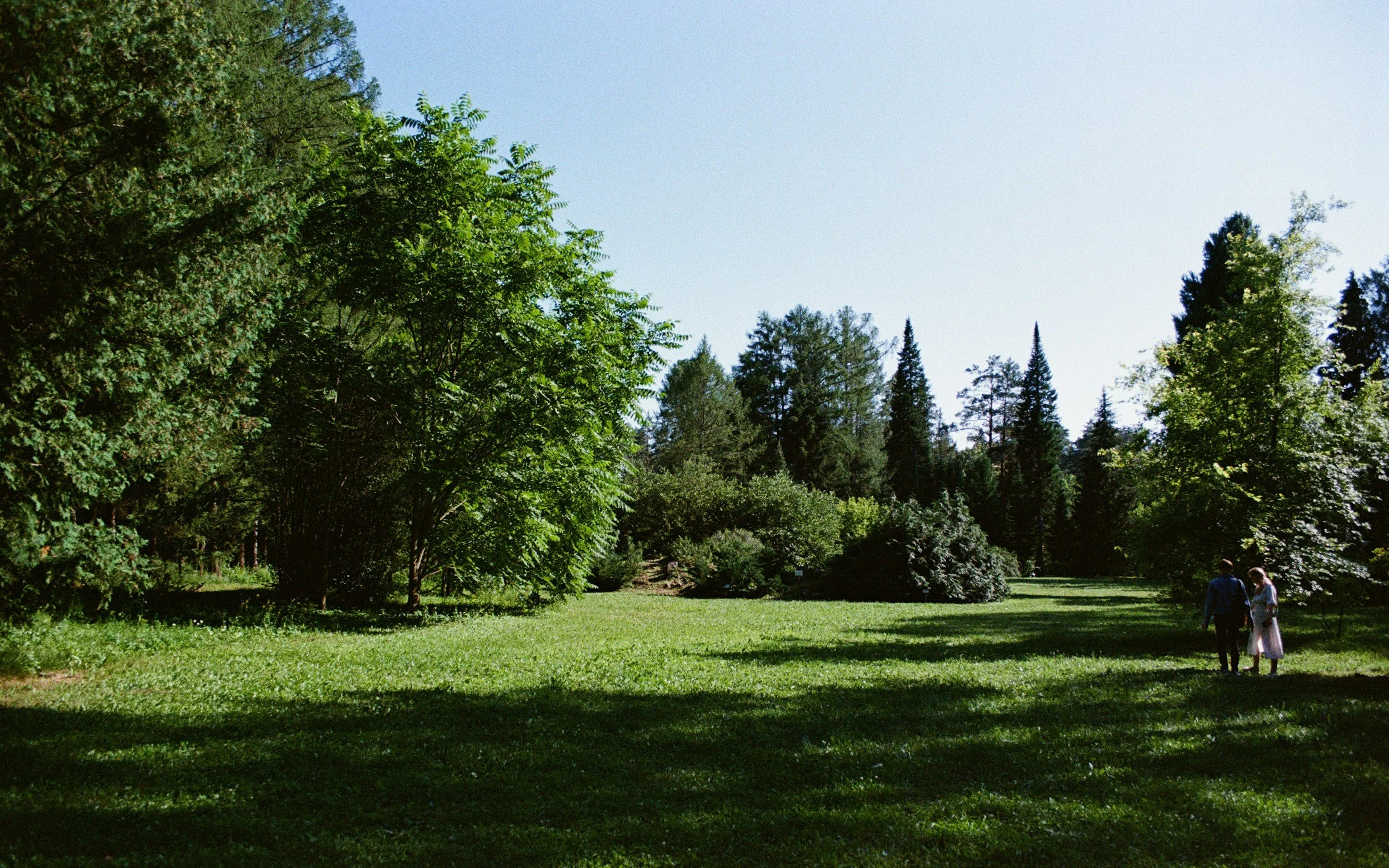outdoor meadow at morris arboretum