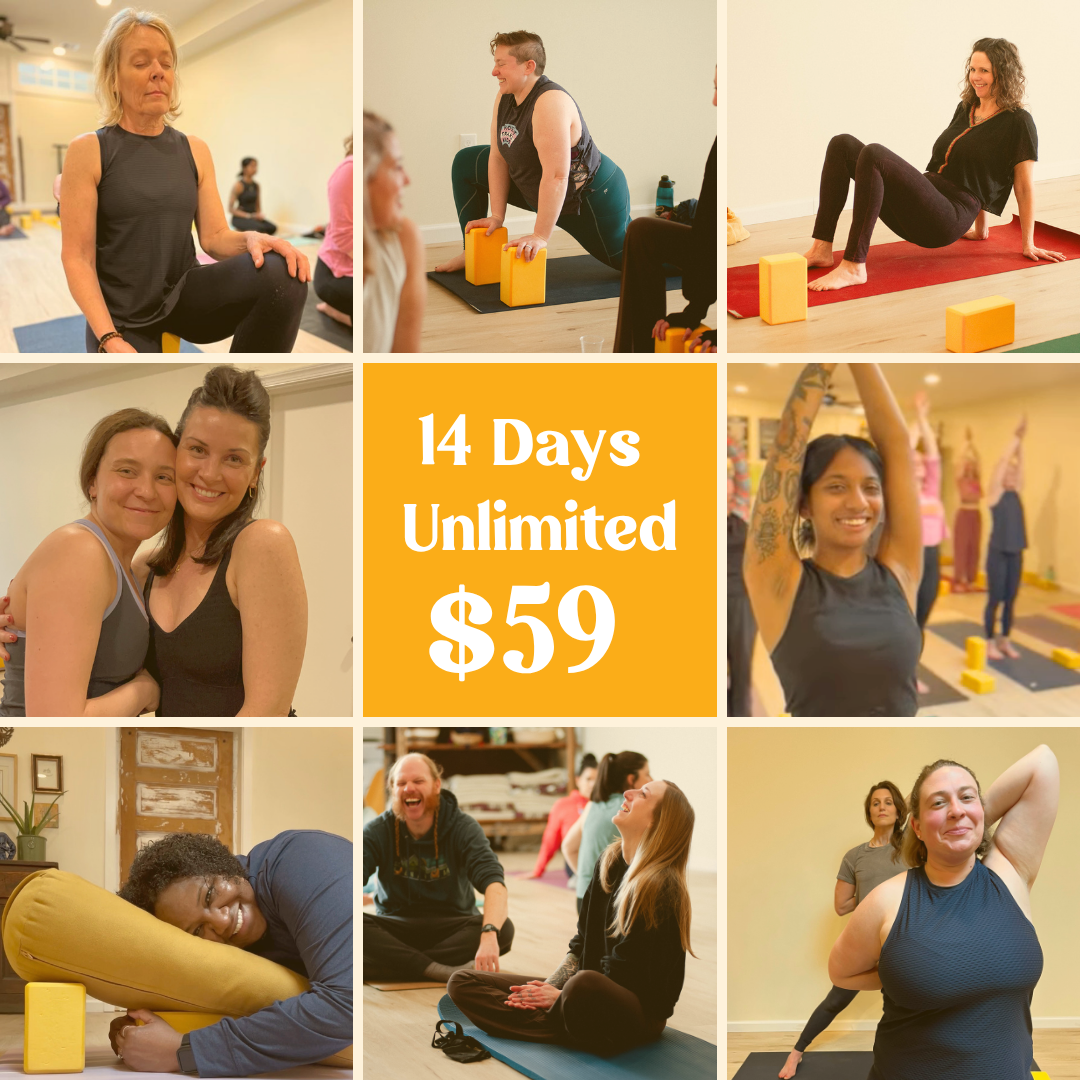 14 Days Unlimited Intro Offer at Camaraderie