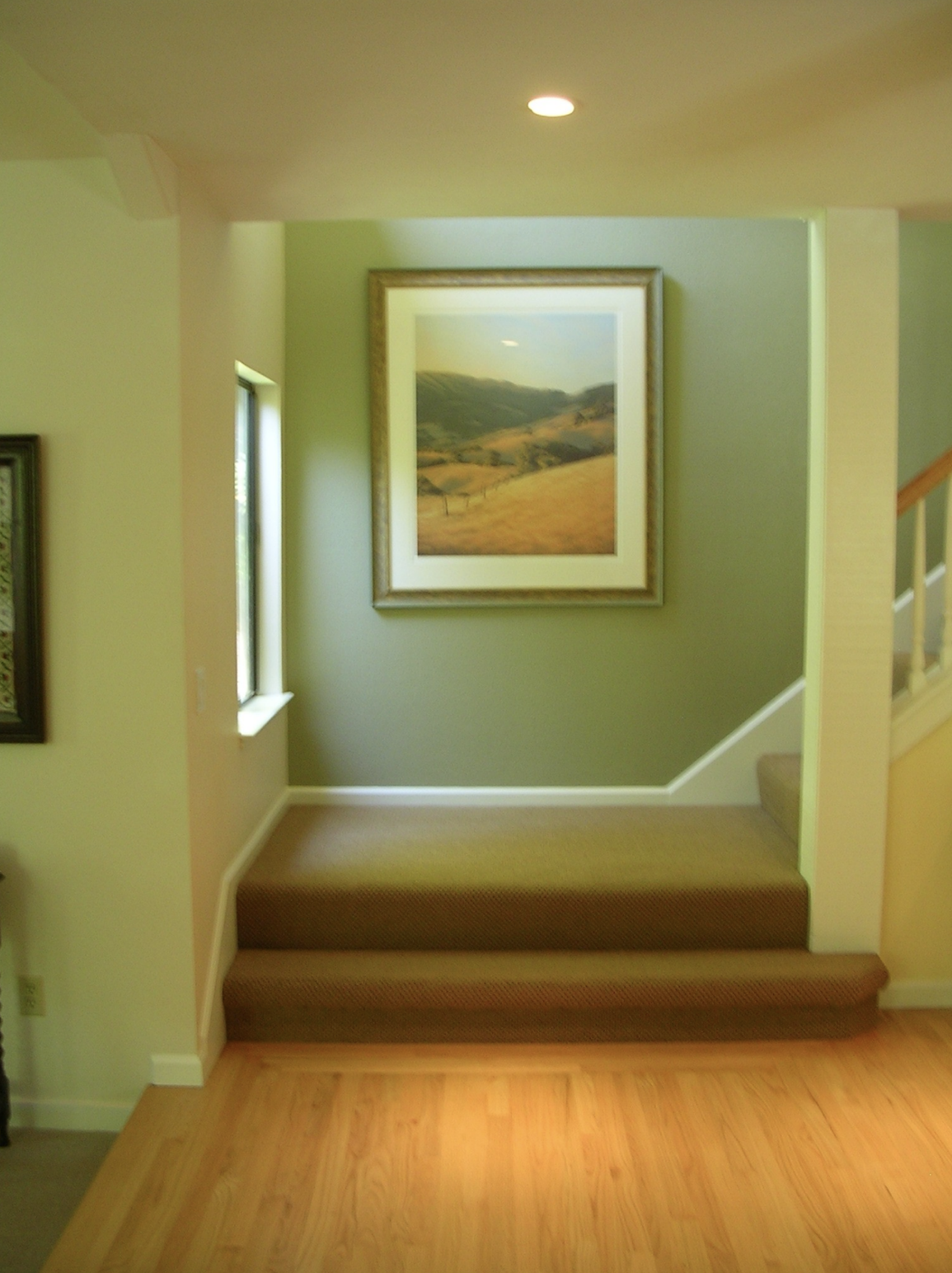 Beware of Online Design Promises and&nbsp;Myths!