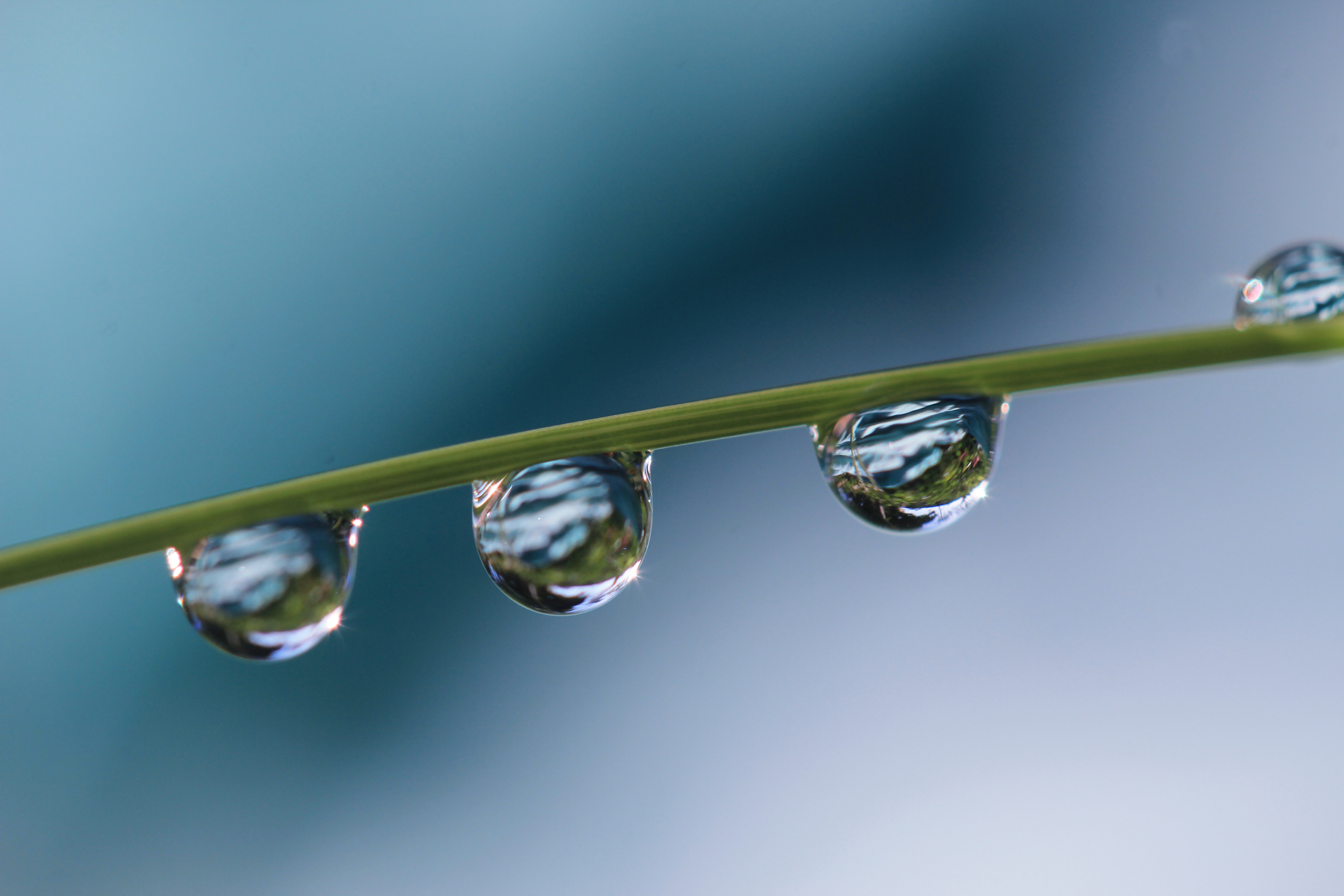 Water Is the World’s Most Important Climate Sector - So Why Is It So Hard to Invest In?