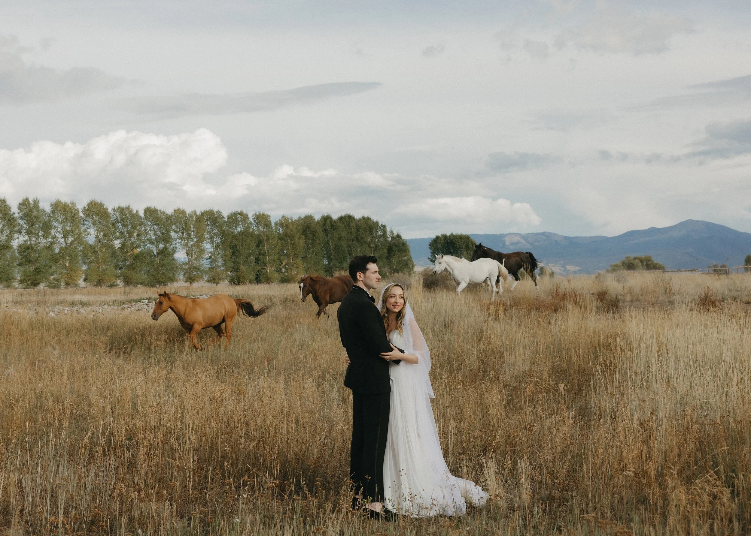 Jackson Wyoming → Aaron &amp; Arianna