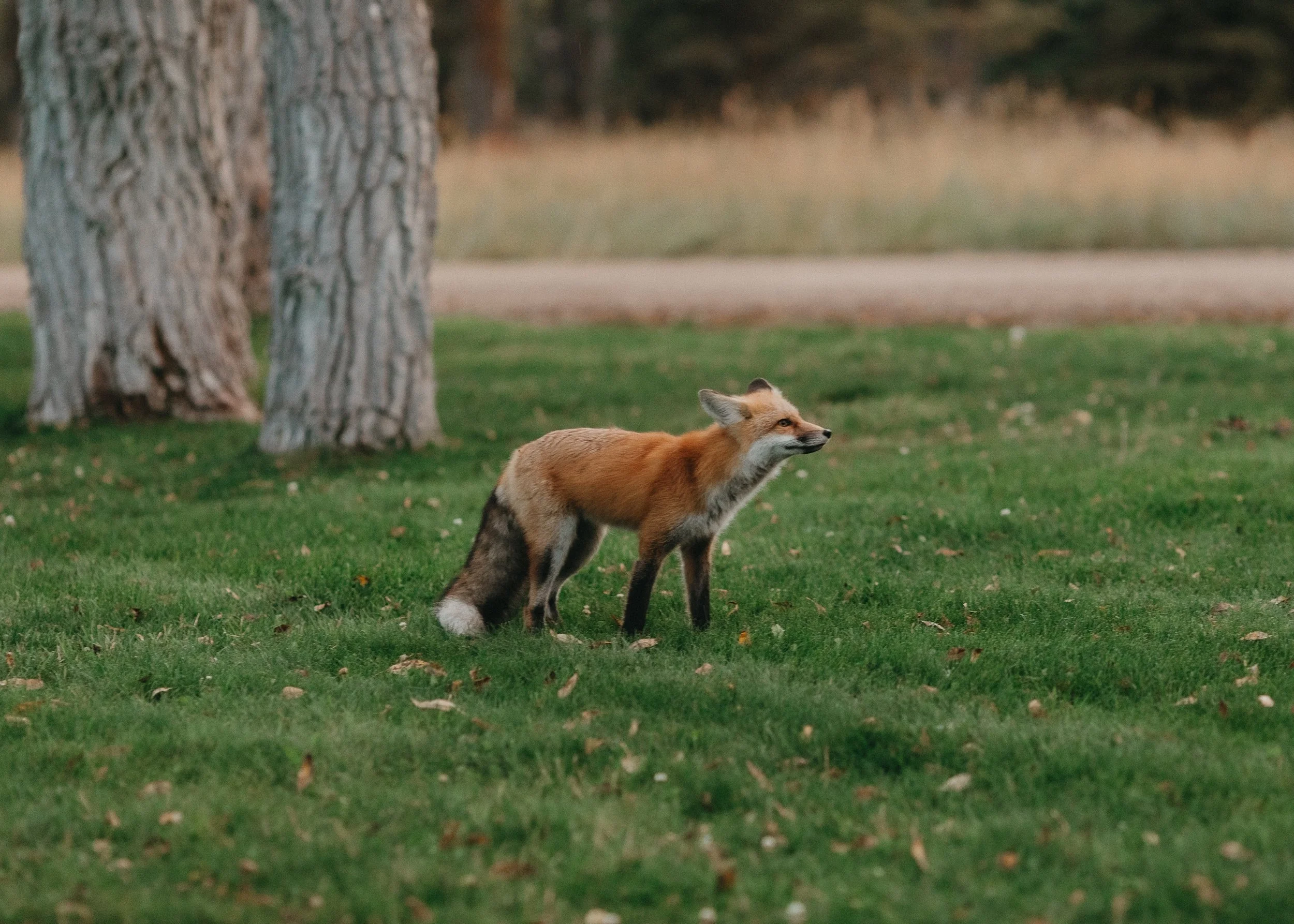 LoganColePhotography-7490 copy.jpg