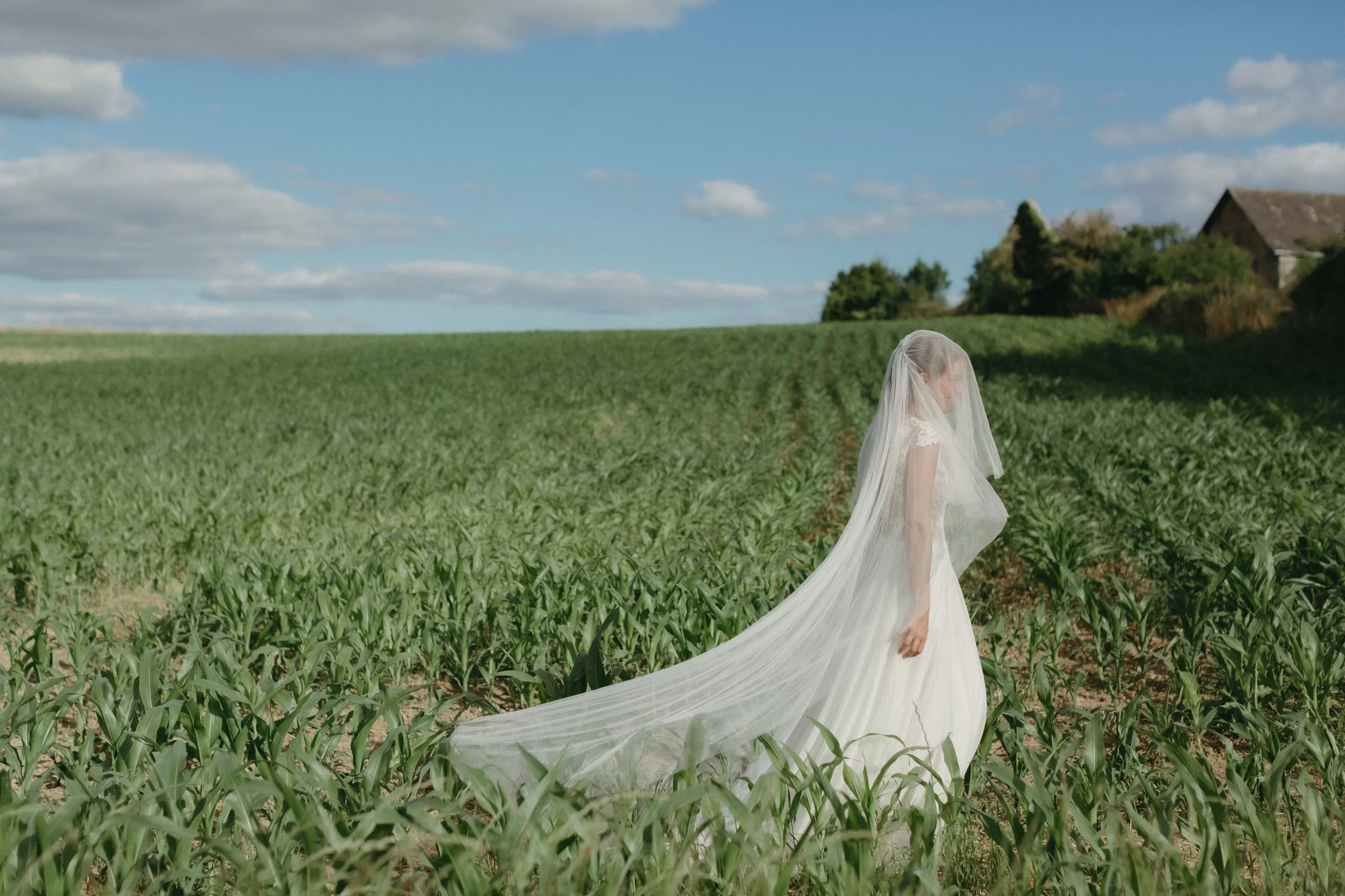 LoganColePhotographyweddings-3820 copy.jpg