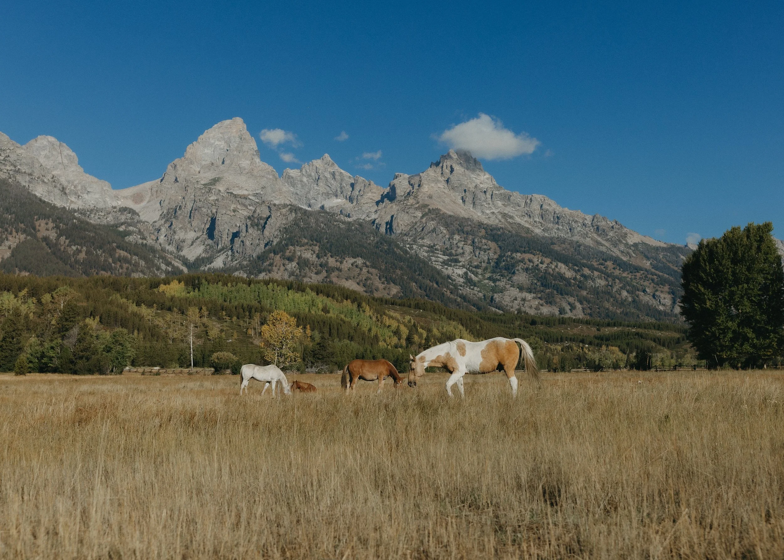 LoganColePhotography-231489 copy.jpg