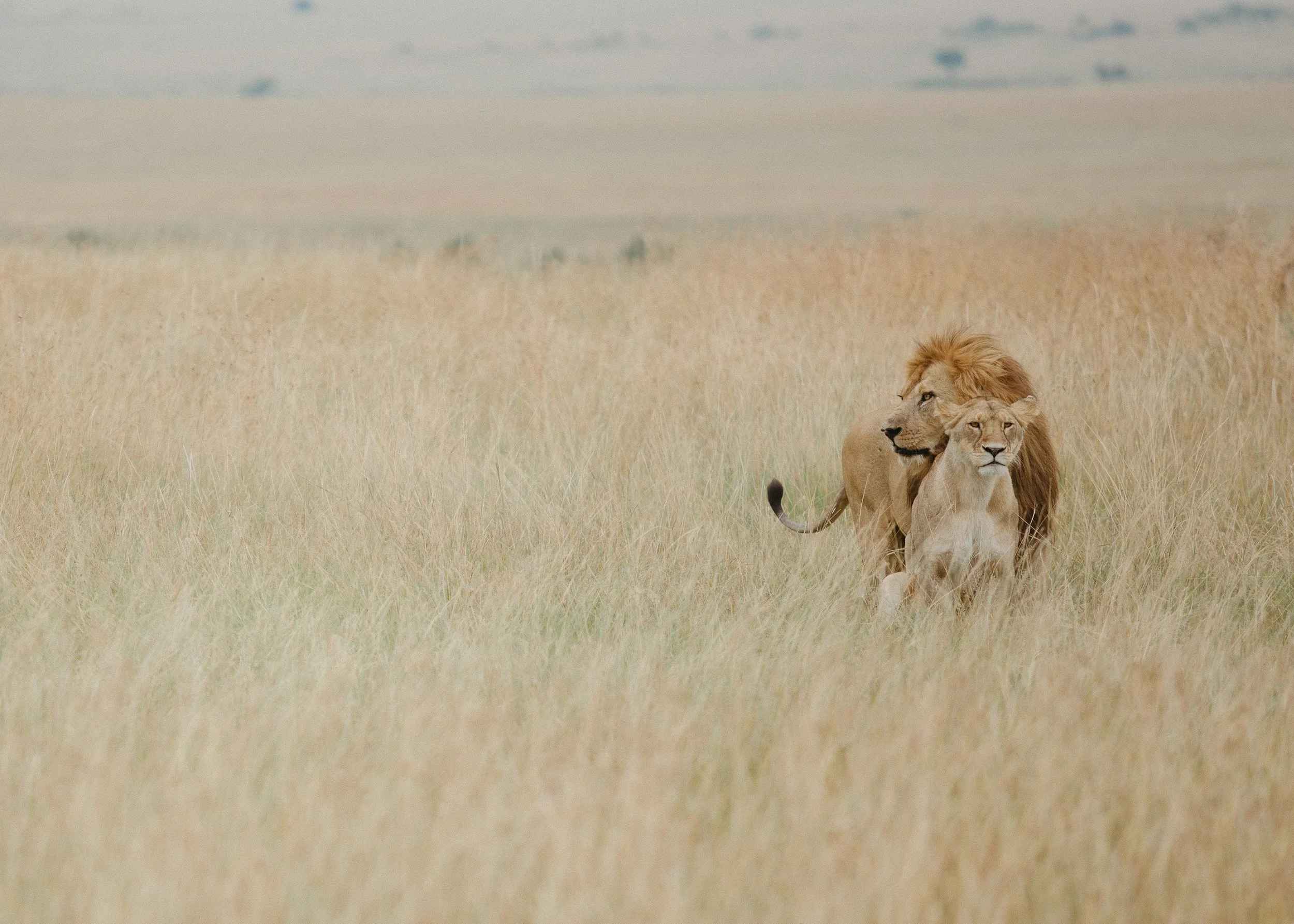 LoganColePhotographyweddings-6757 copy.jpg