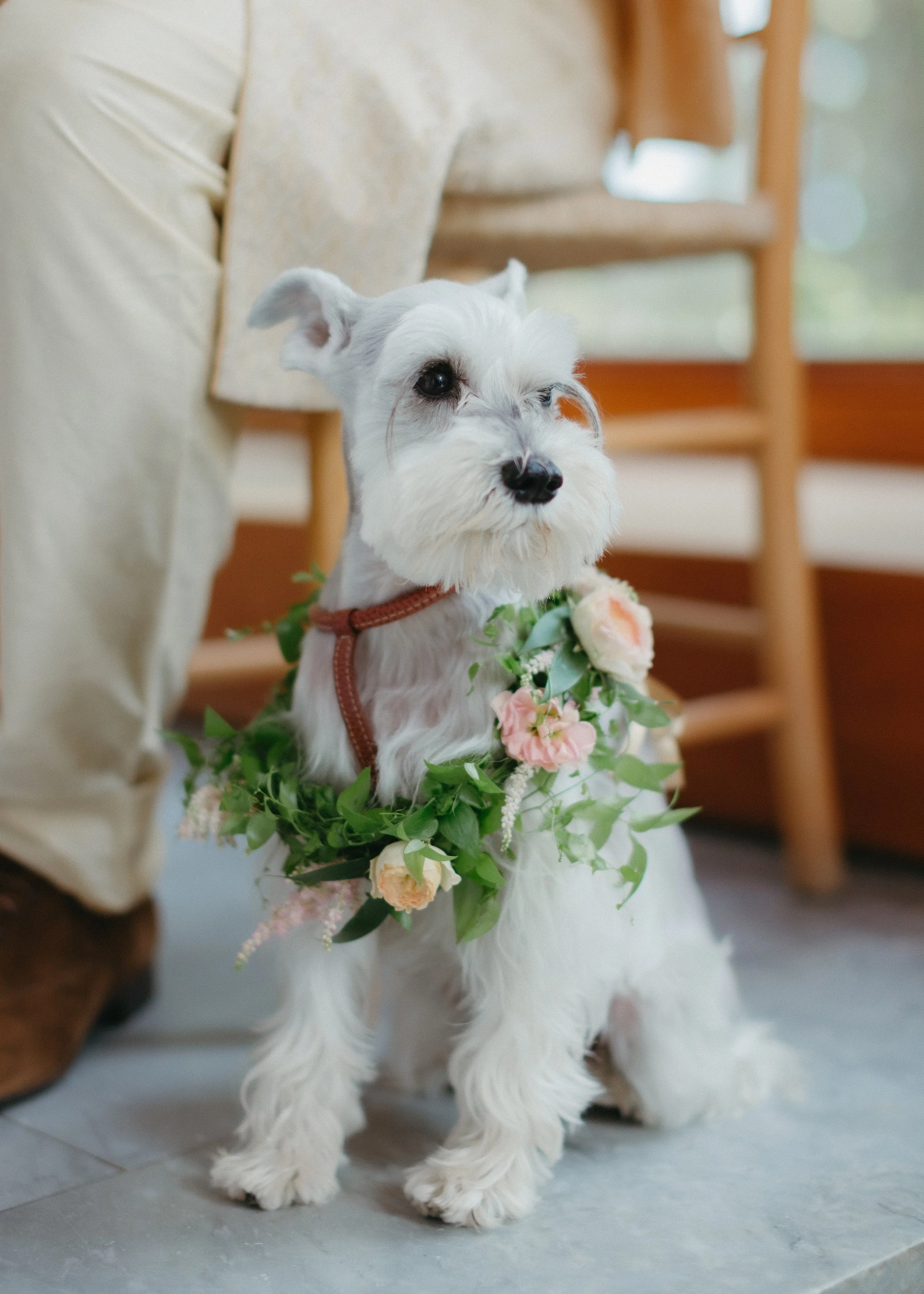 LoganColePhotographyweddings-4483 copy.jpg