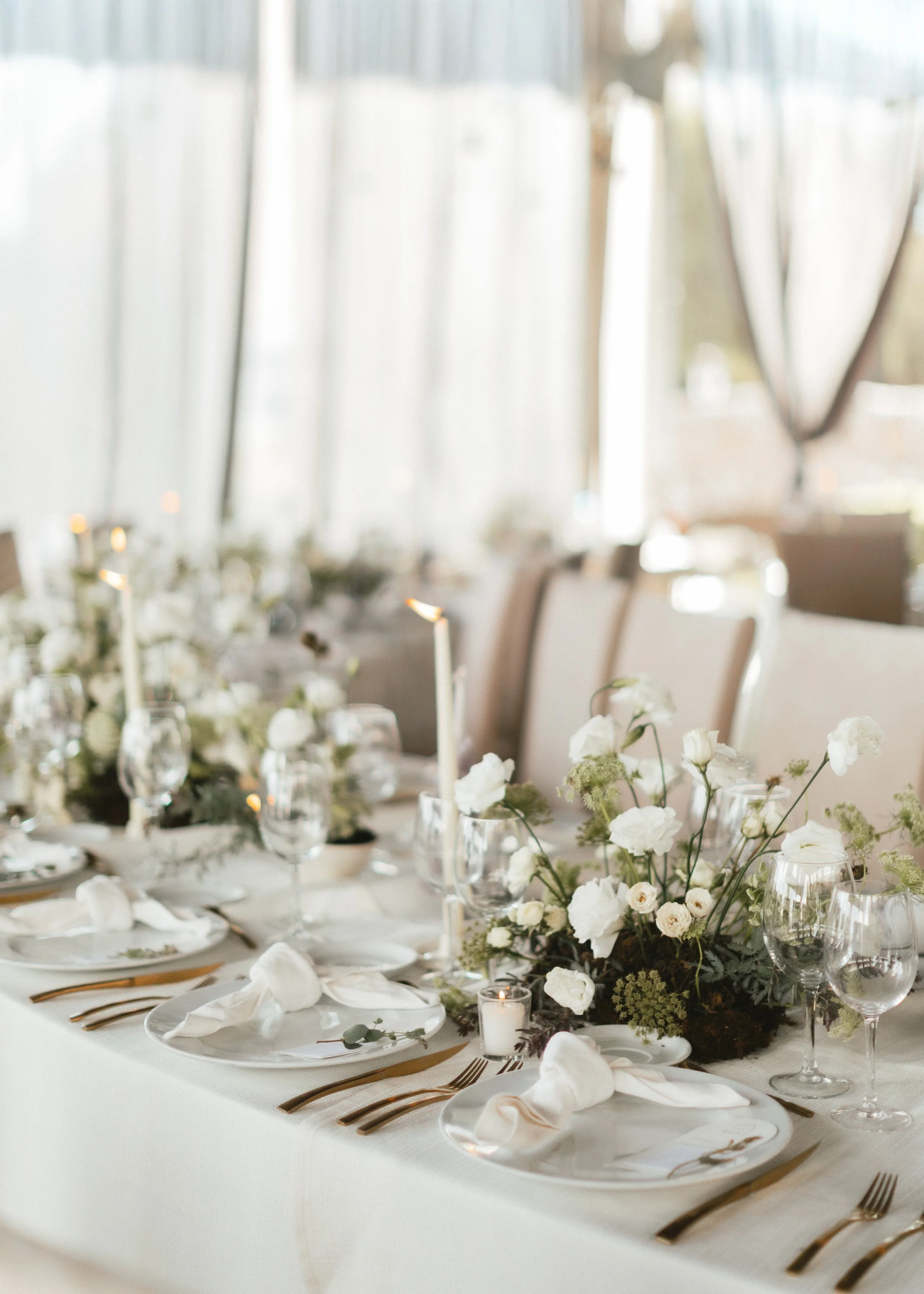 LoganColePhotography-0572 copy.jpg