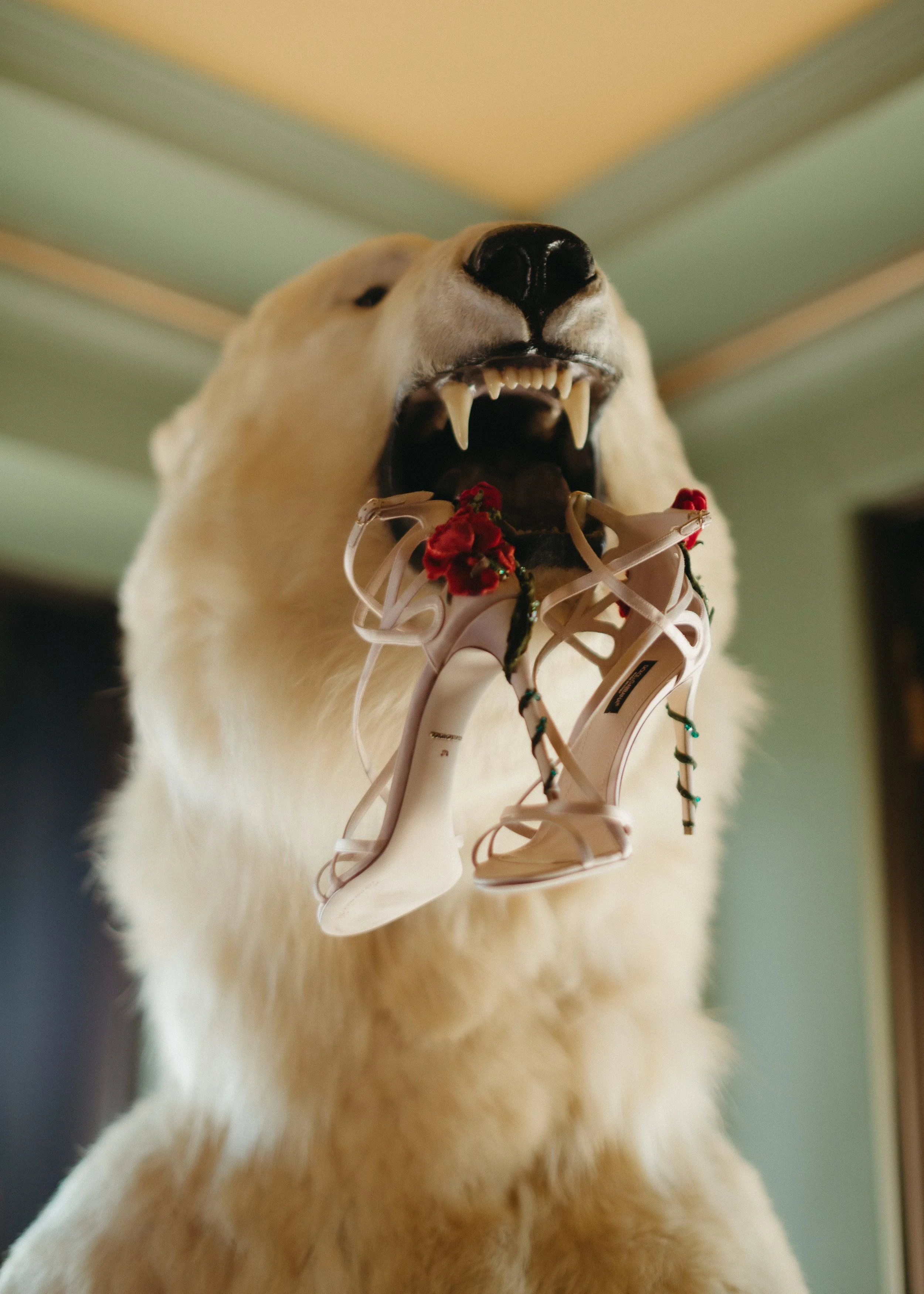 LoganColePhotographyweddings-4939 copy.jpg