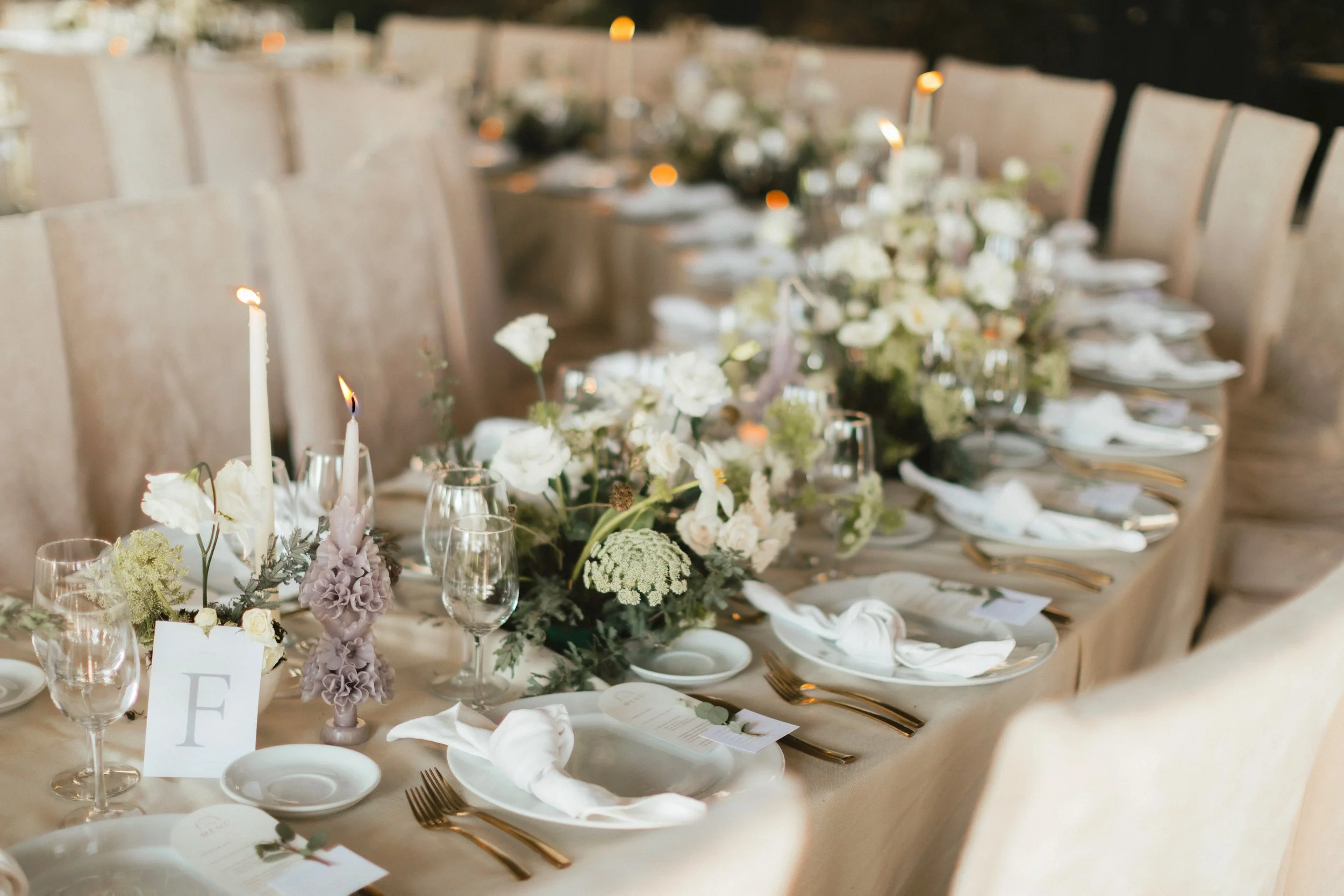 LoganColePhotography-0617 copy.jpg